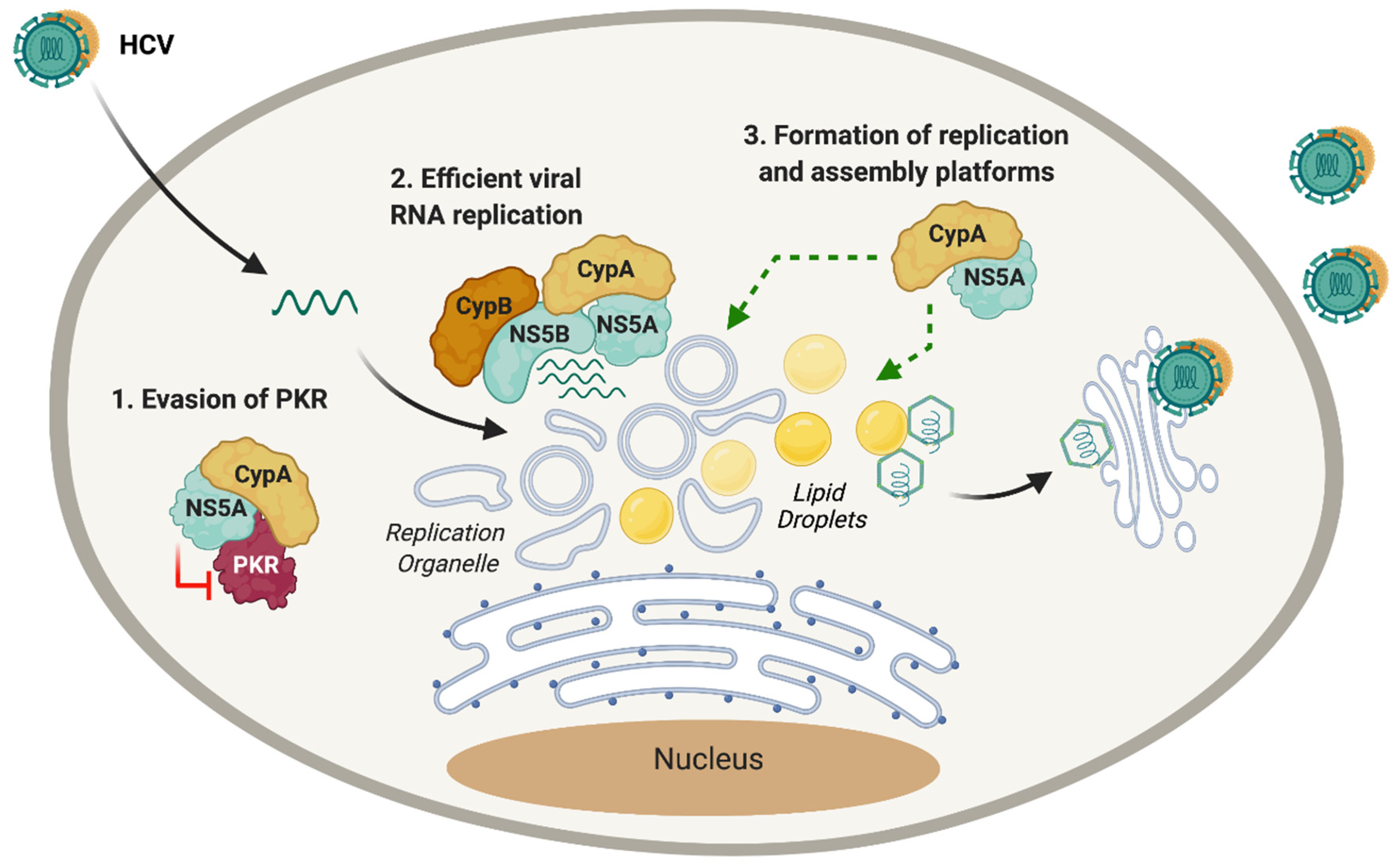 Pathogens 10 00902 g003 Pathogens 10 00902 g003