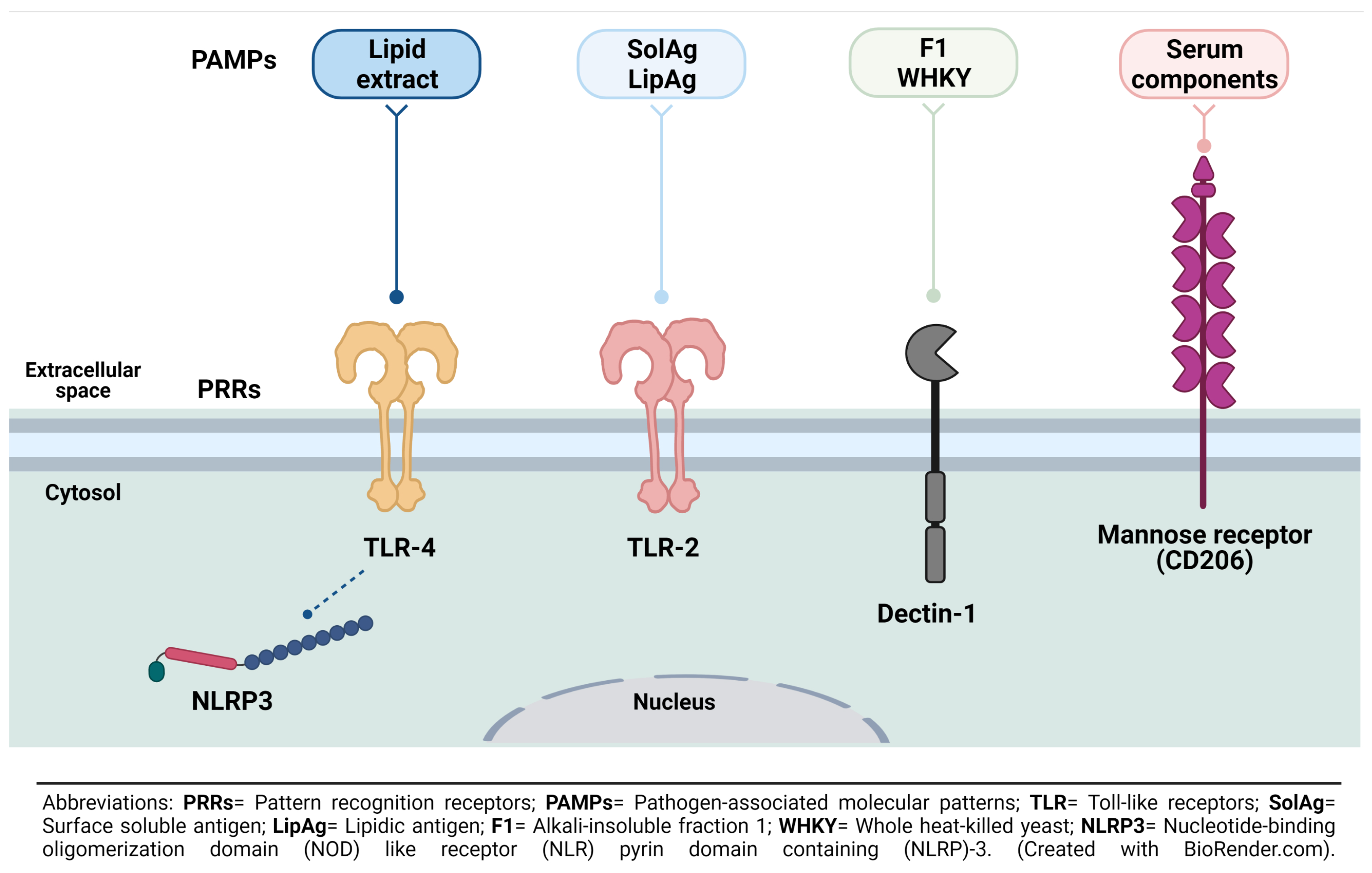 Pathogens 10 00905 g001