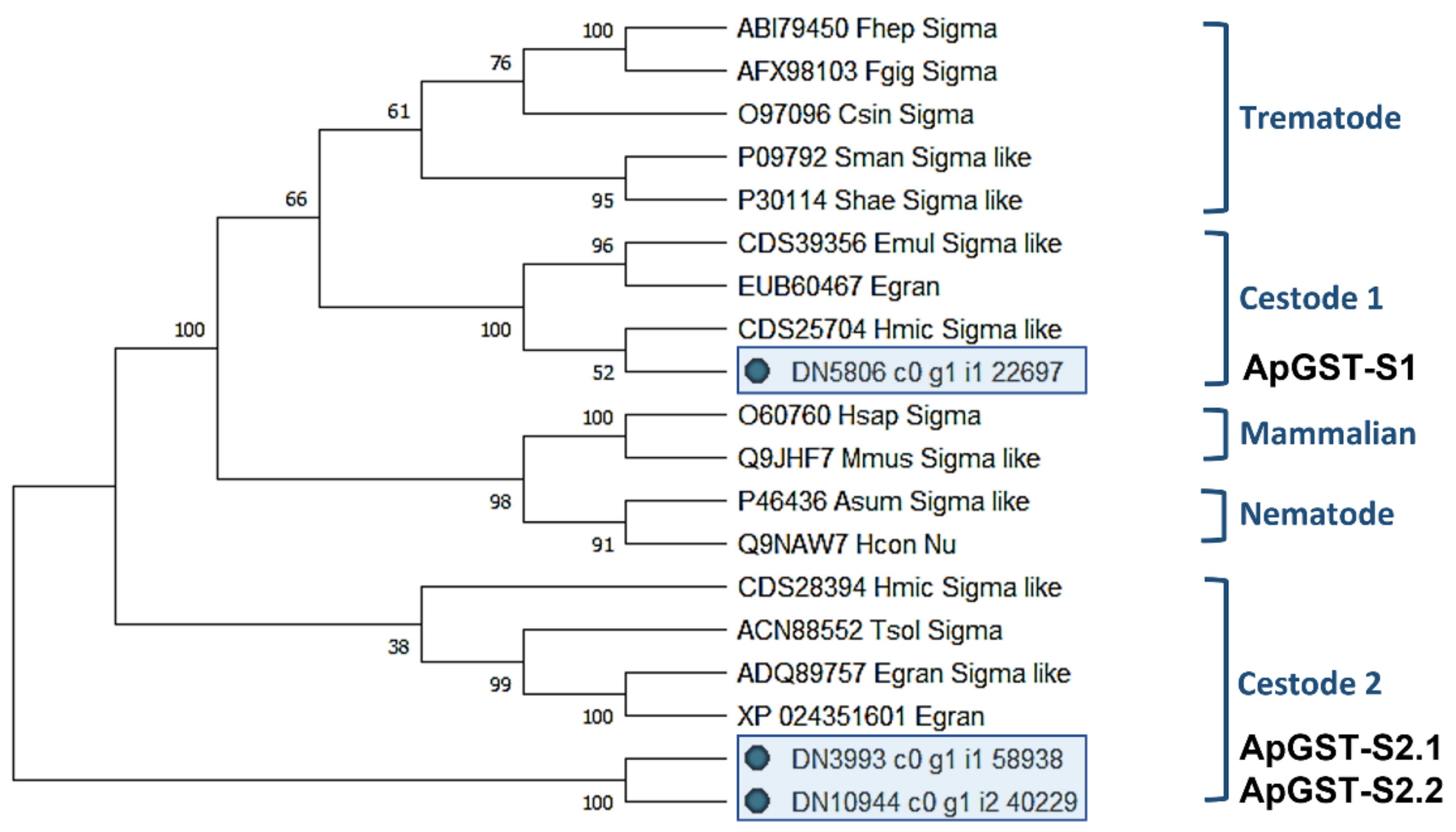 Pathogens 10 00912 g001