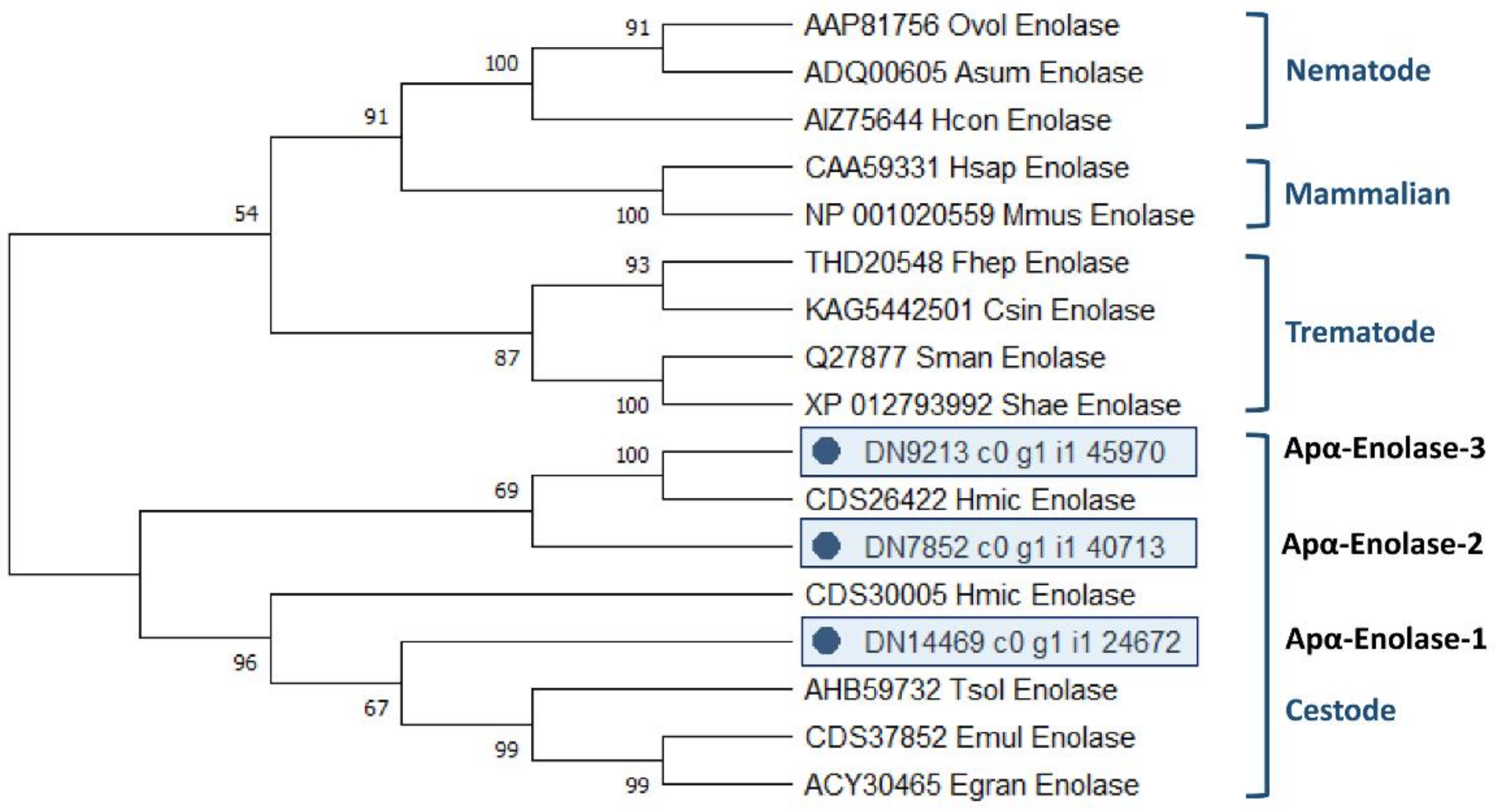 Pathogens 10 00912 g003