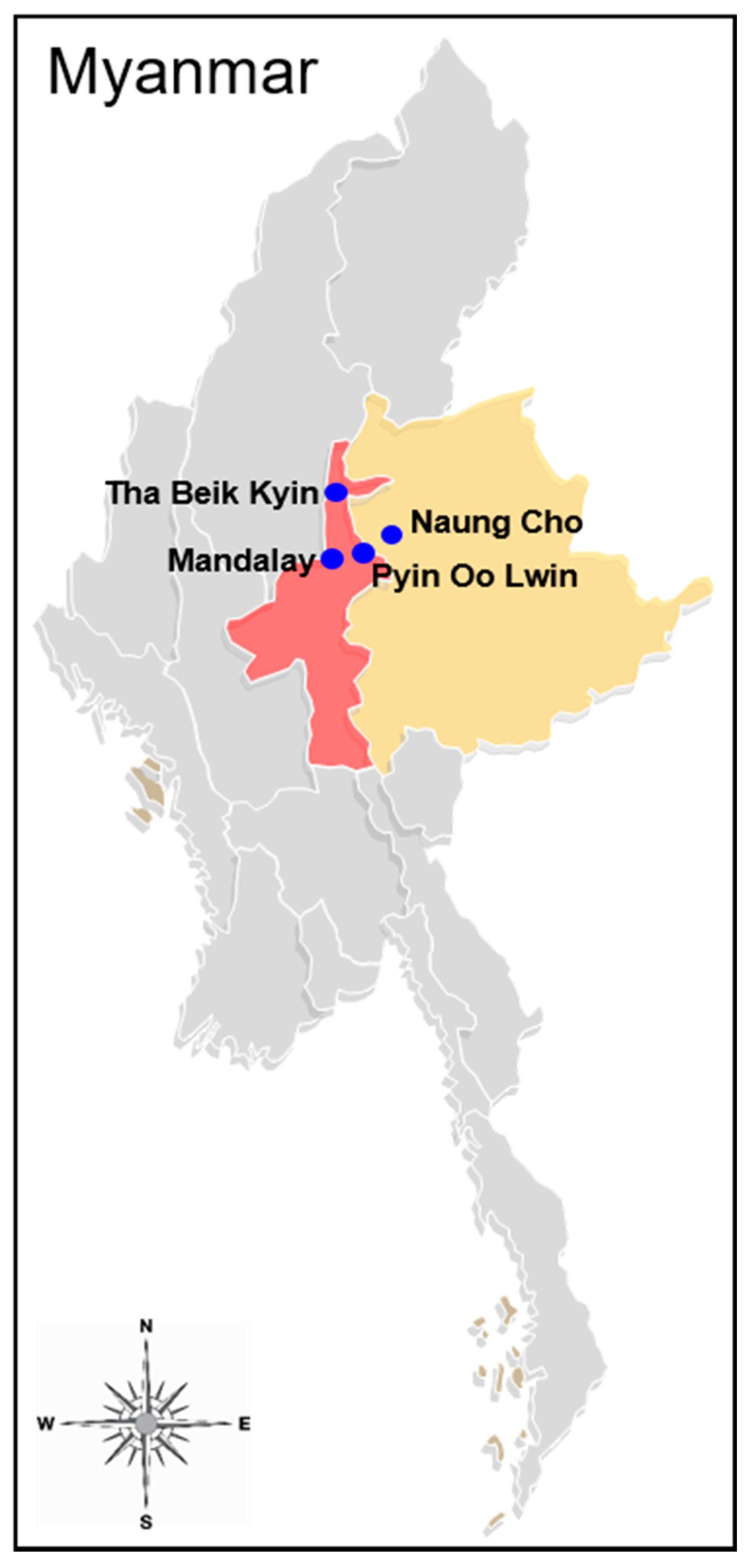 Pathogens 10 00916 g001