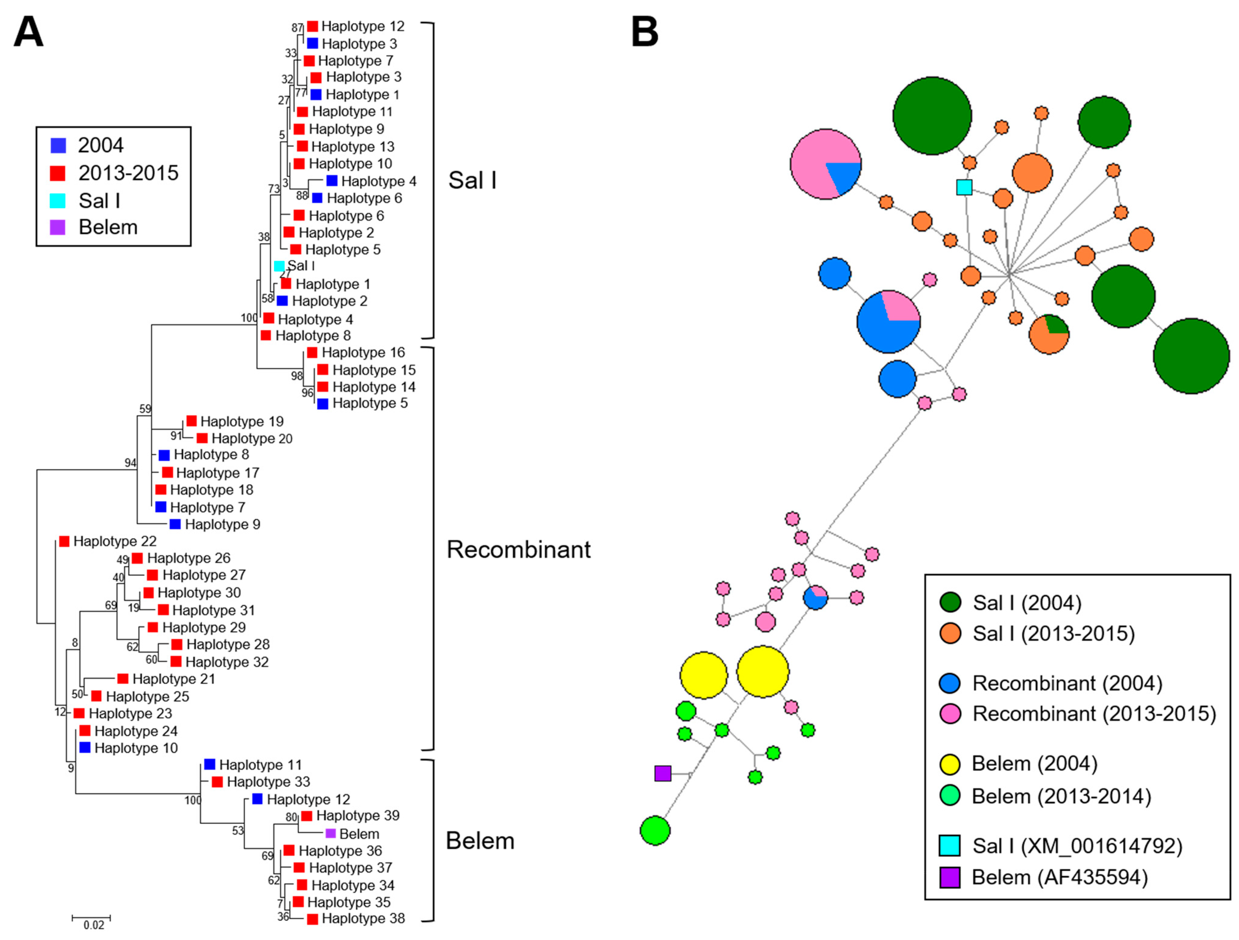 Pathogens 10 00916 g004