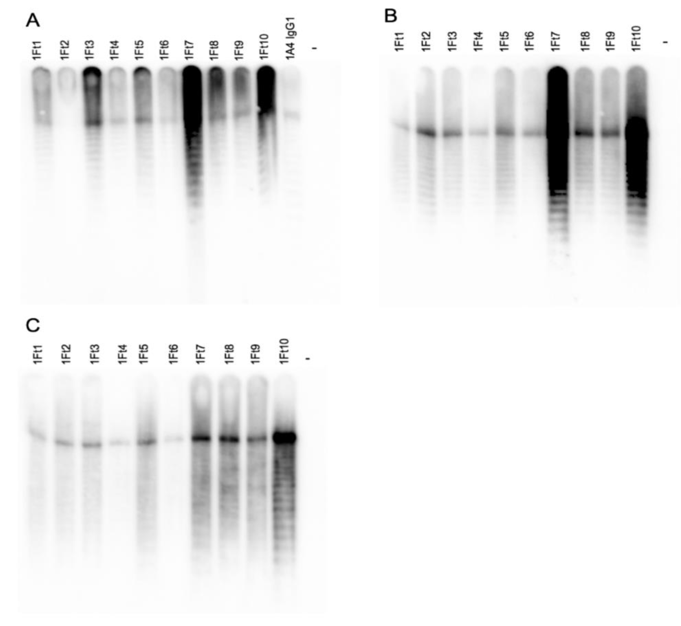 Pathogens 10 00924 g001