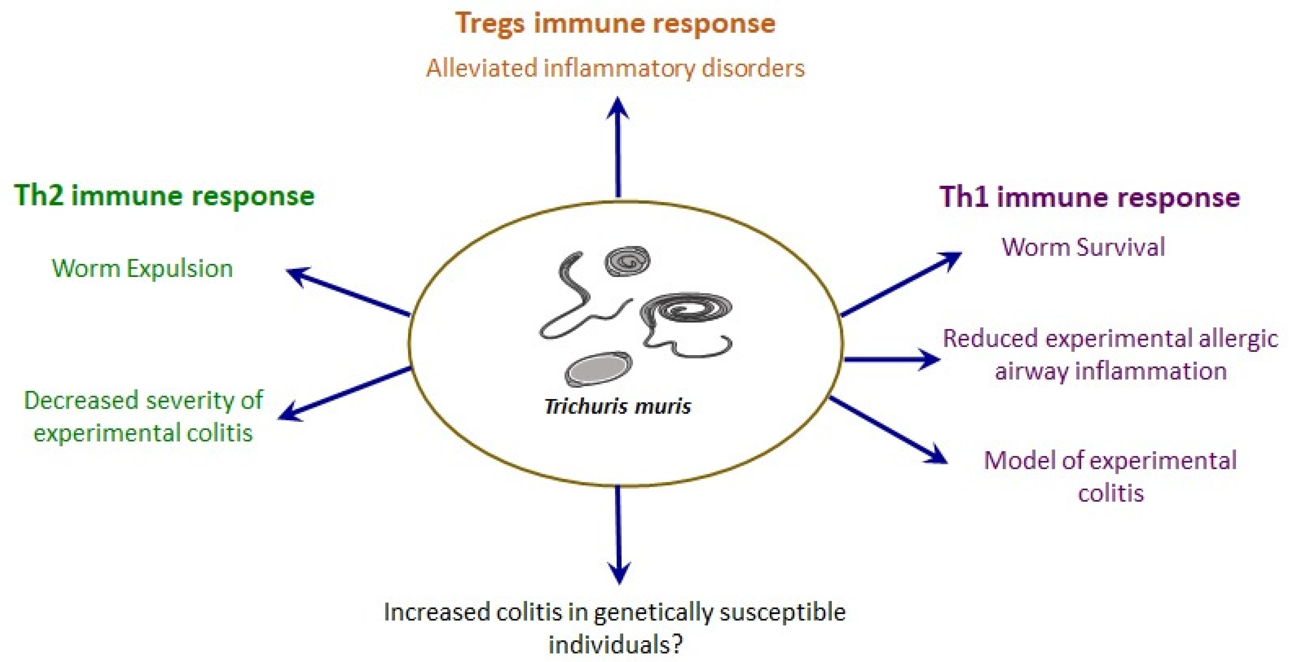 Pathogens 10 00925 g002