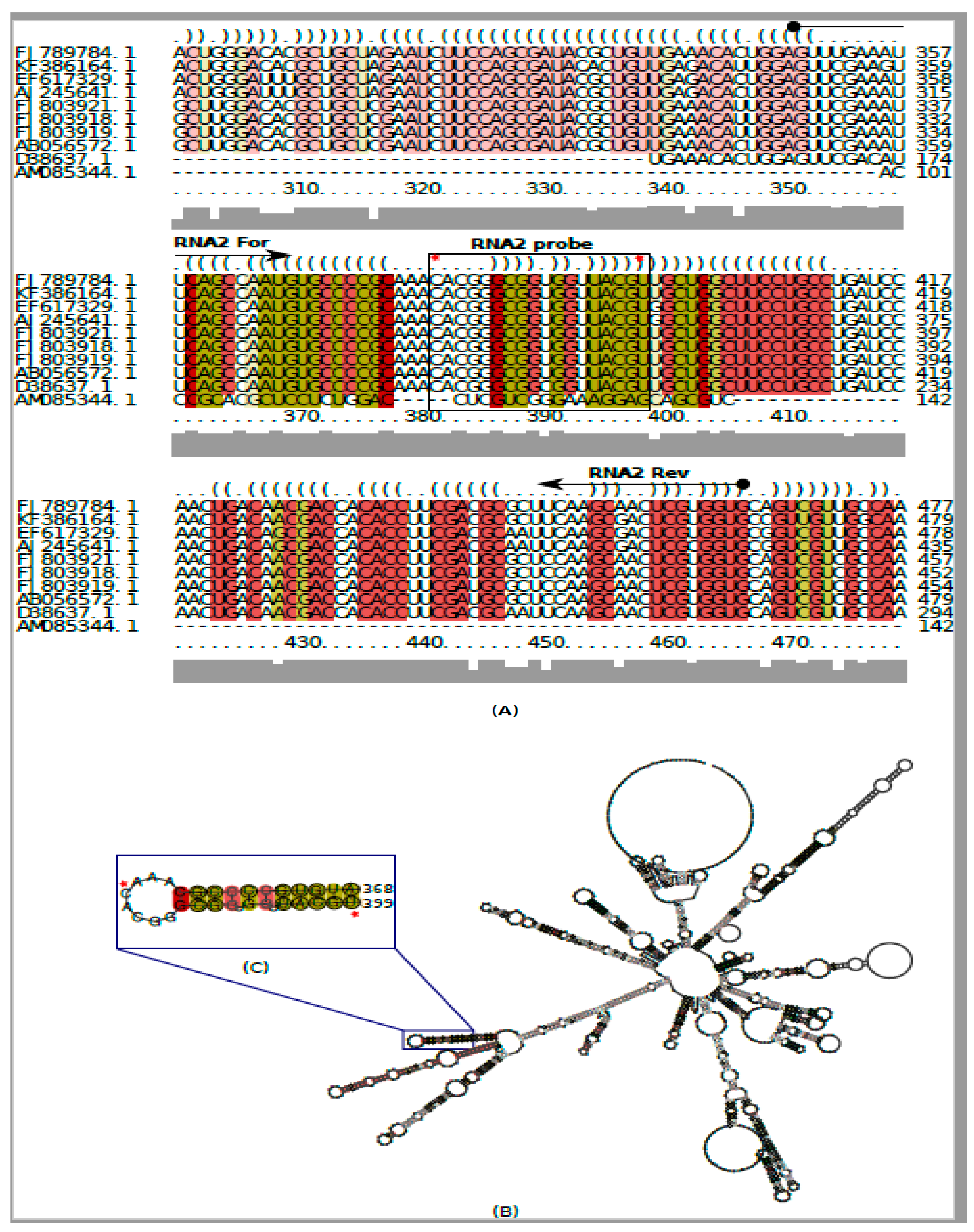 Pathogens 10 00932 g001