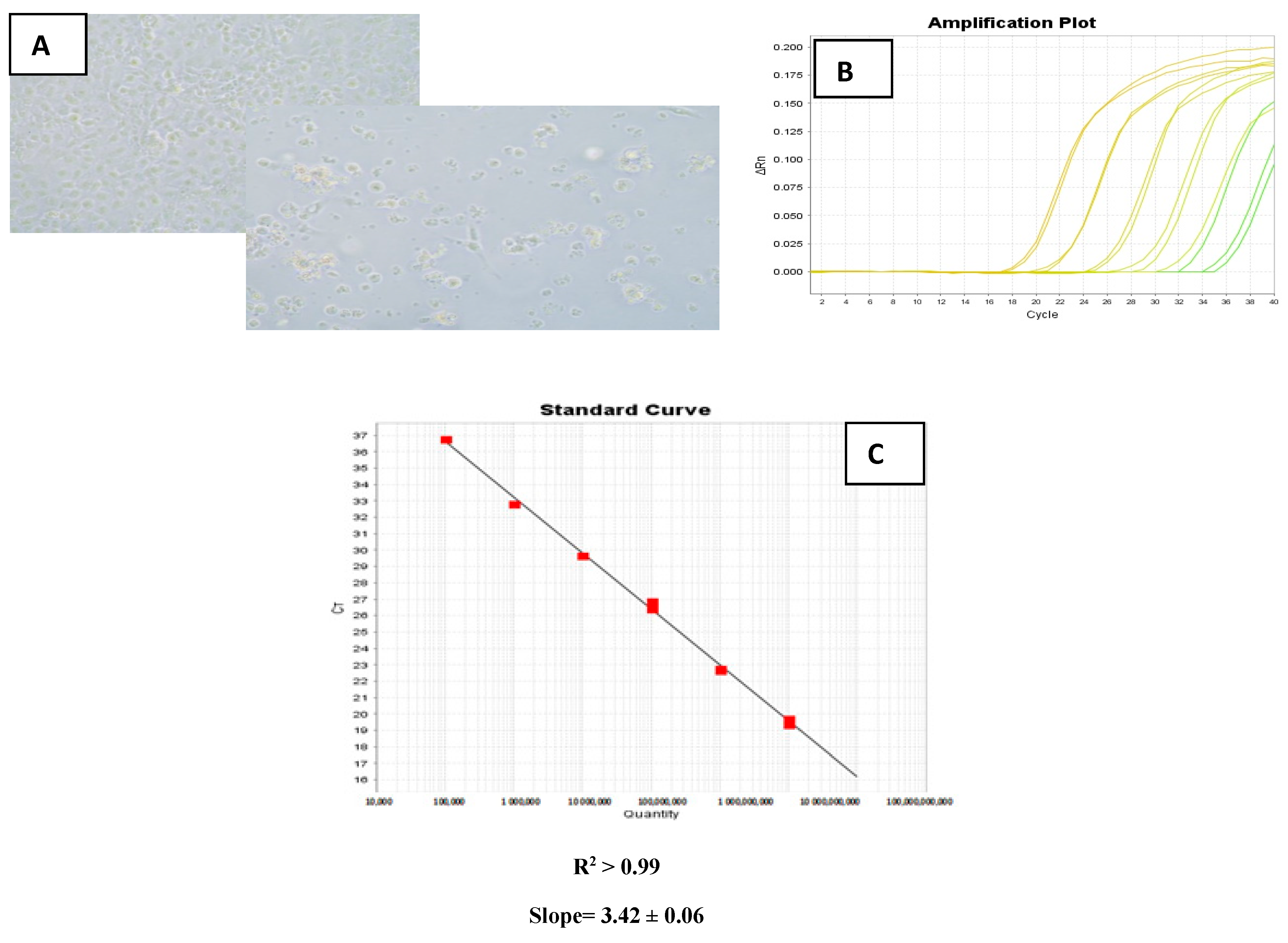 Pathogens 10 00932 g005