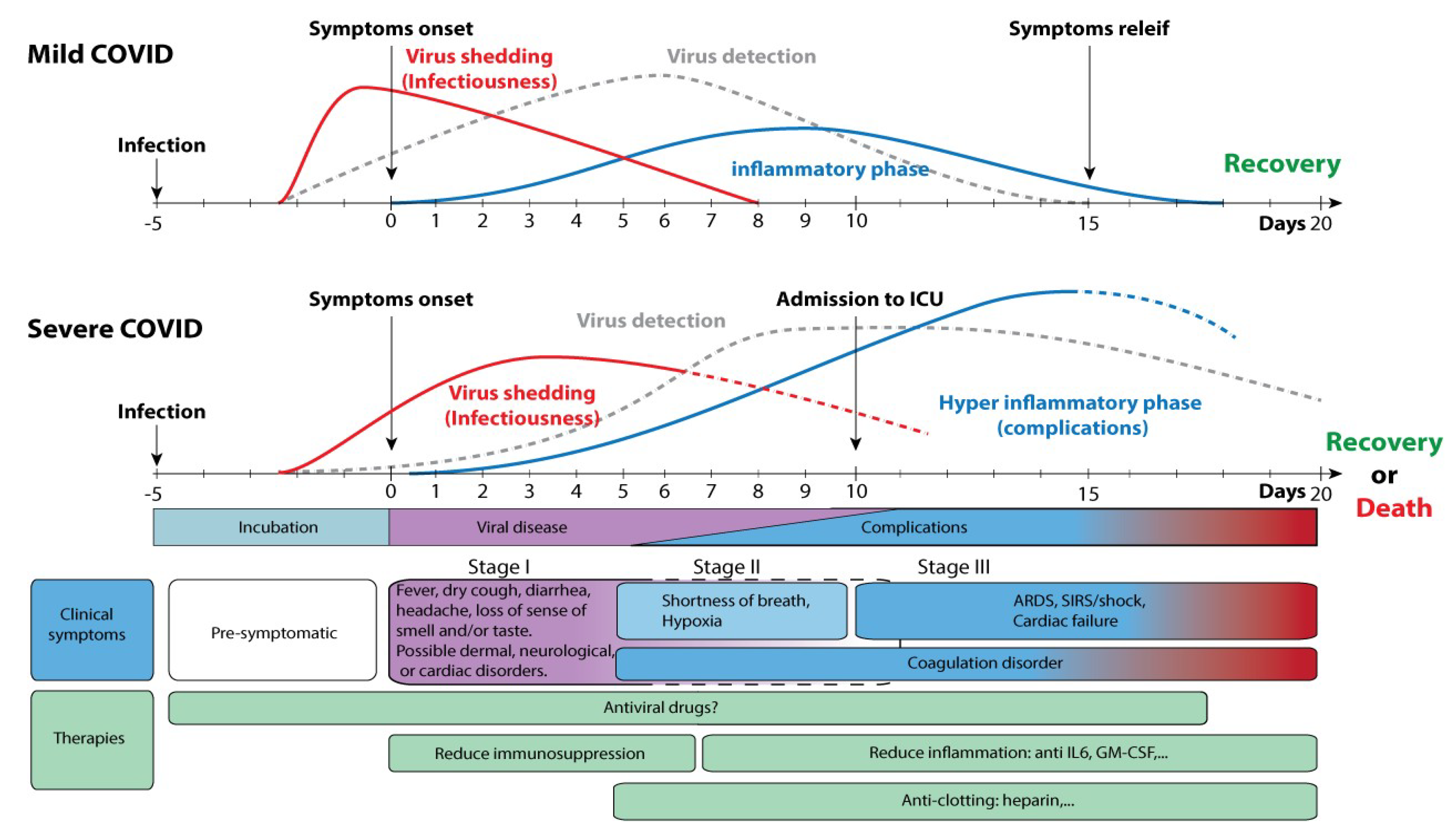 Pathogens 10 00946 g003