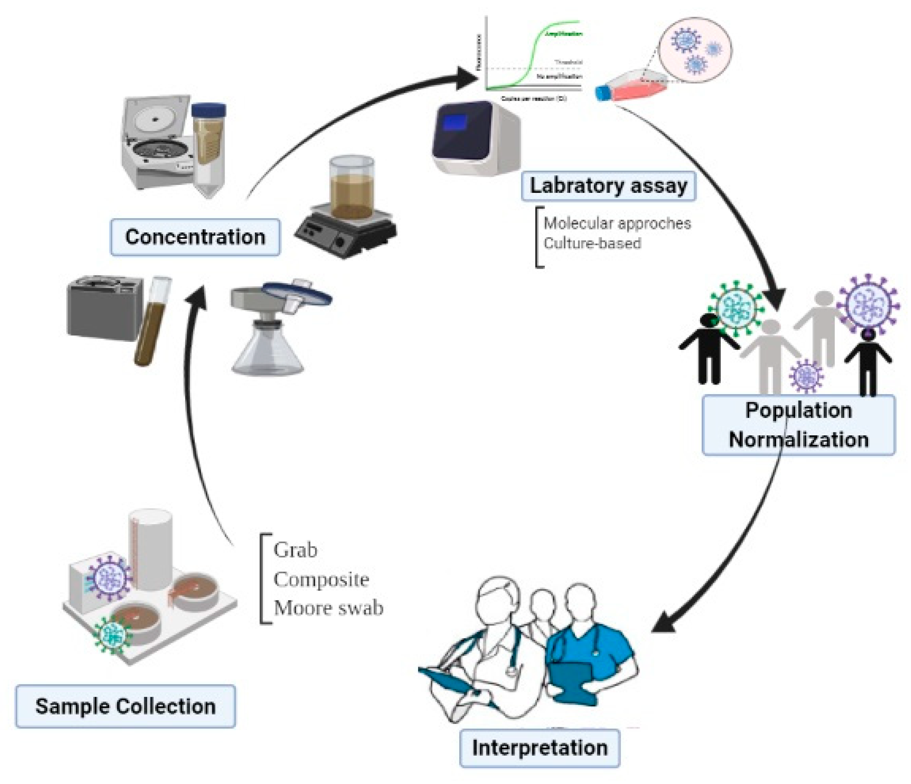 Pathogens 10 00946 g004