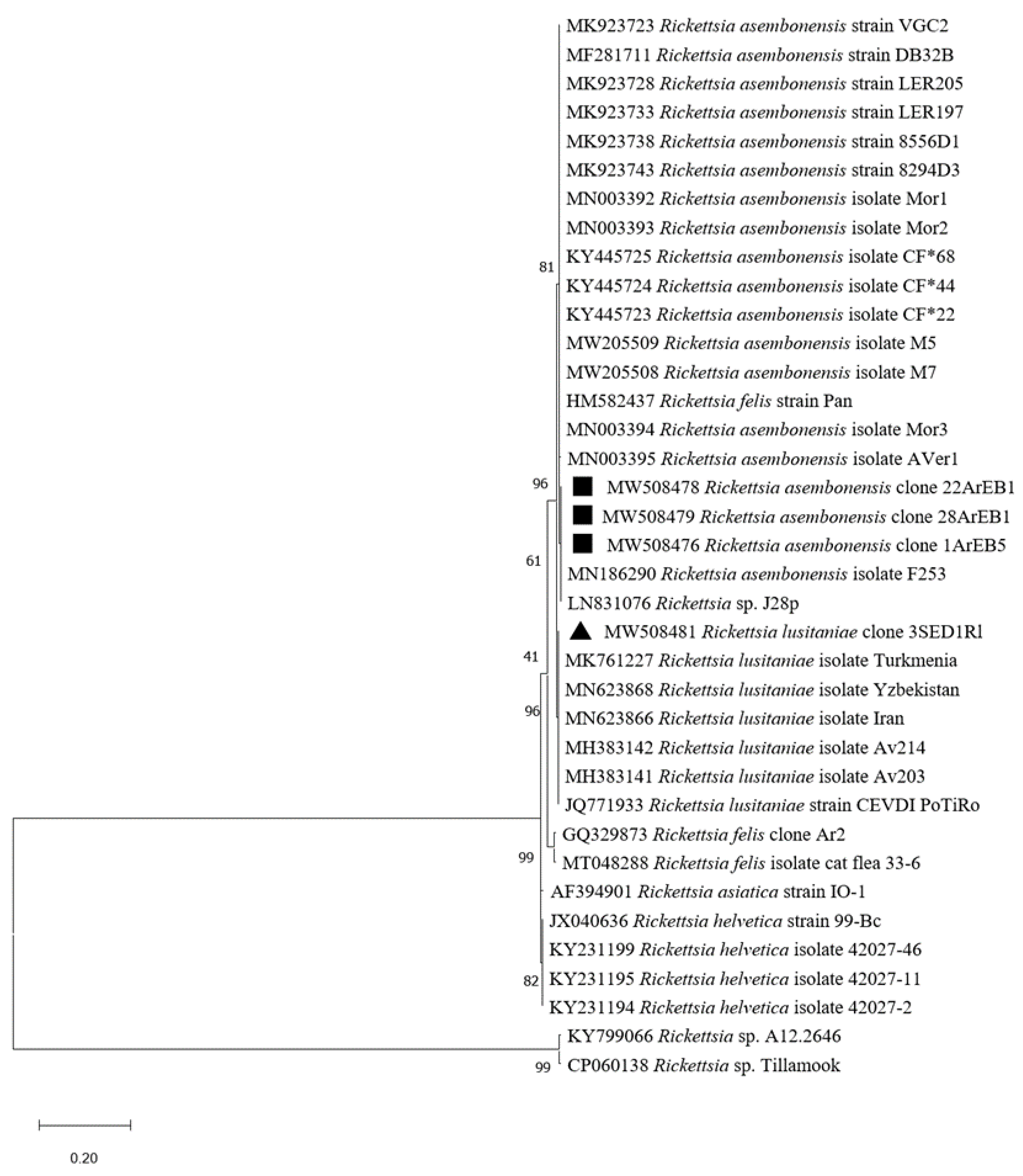 Pathogens 10 00953 g005