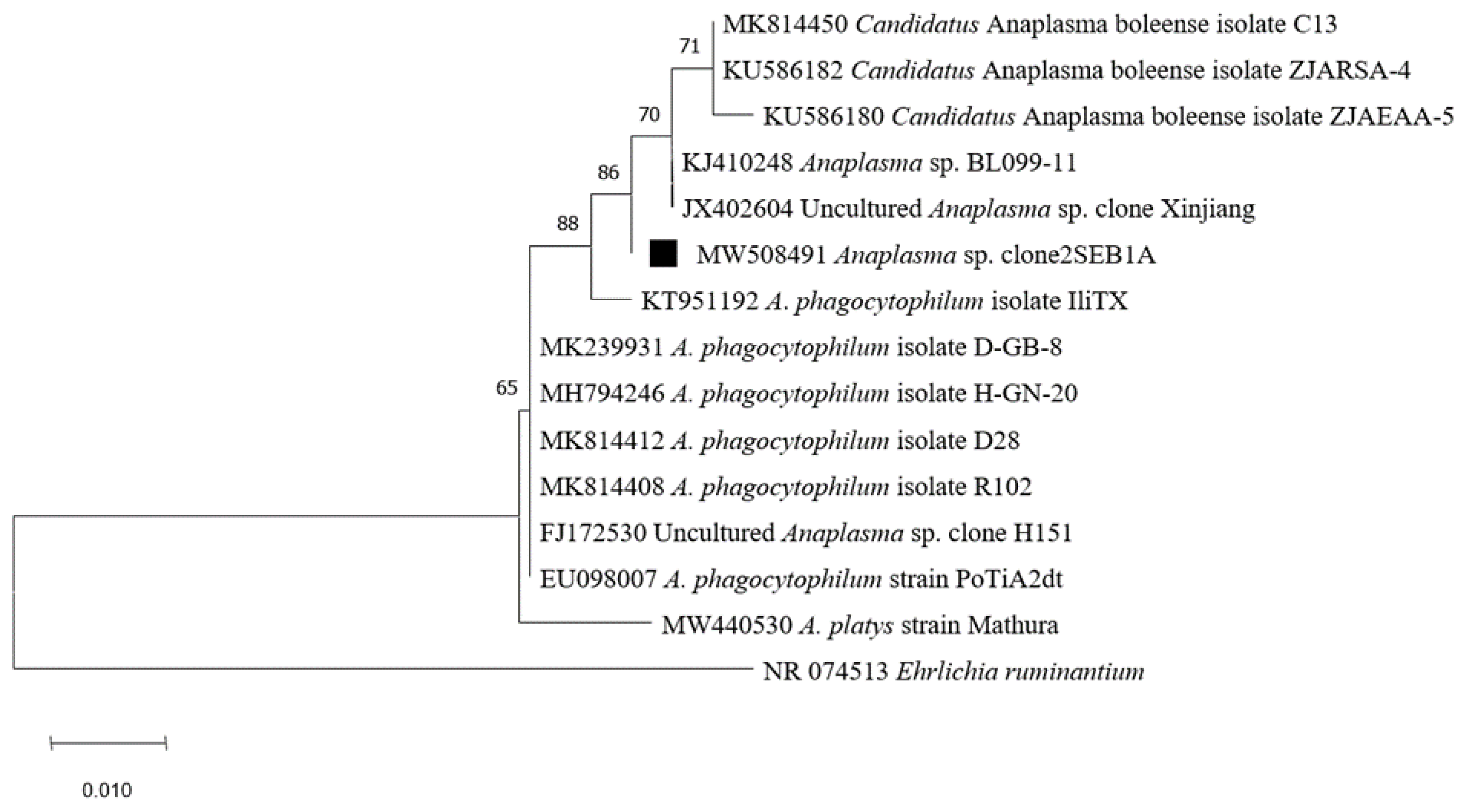 Pathogens 10 00953 g006