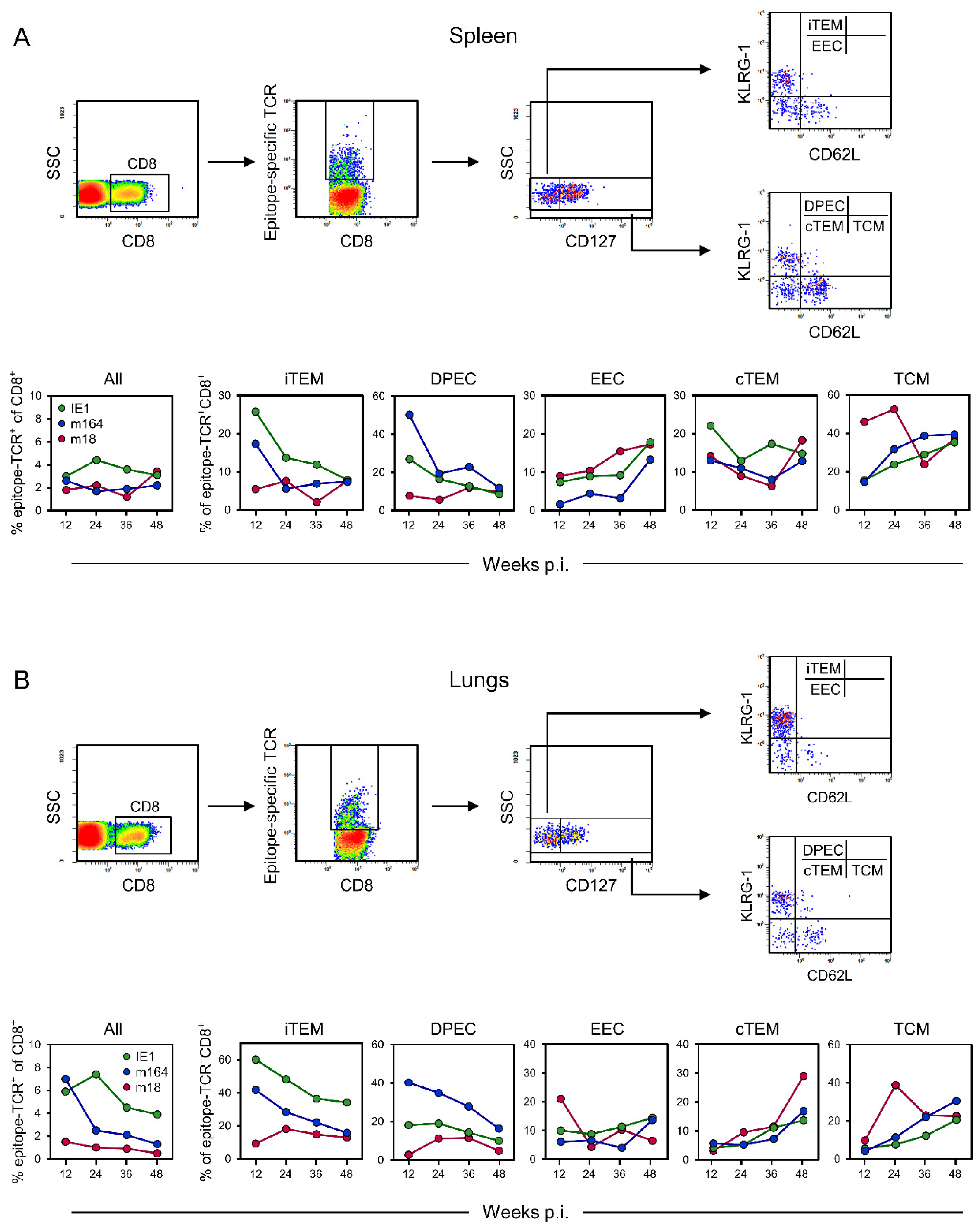 Pathogens 10 00956 g001