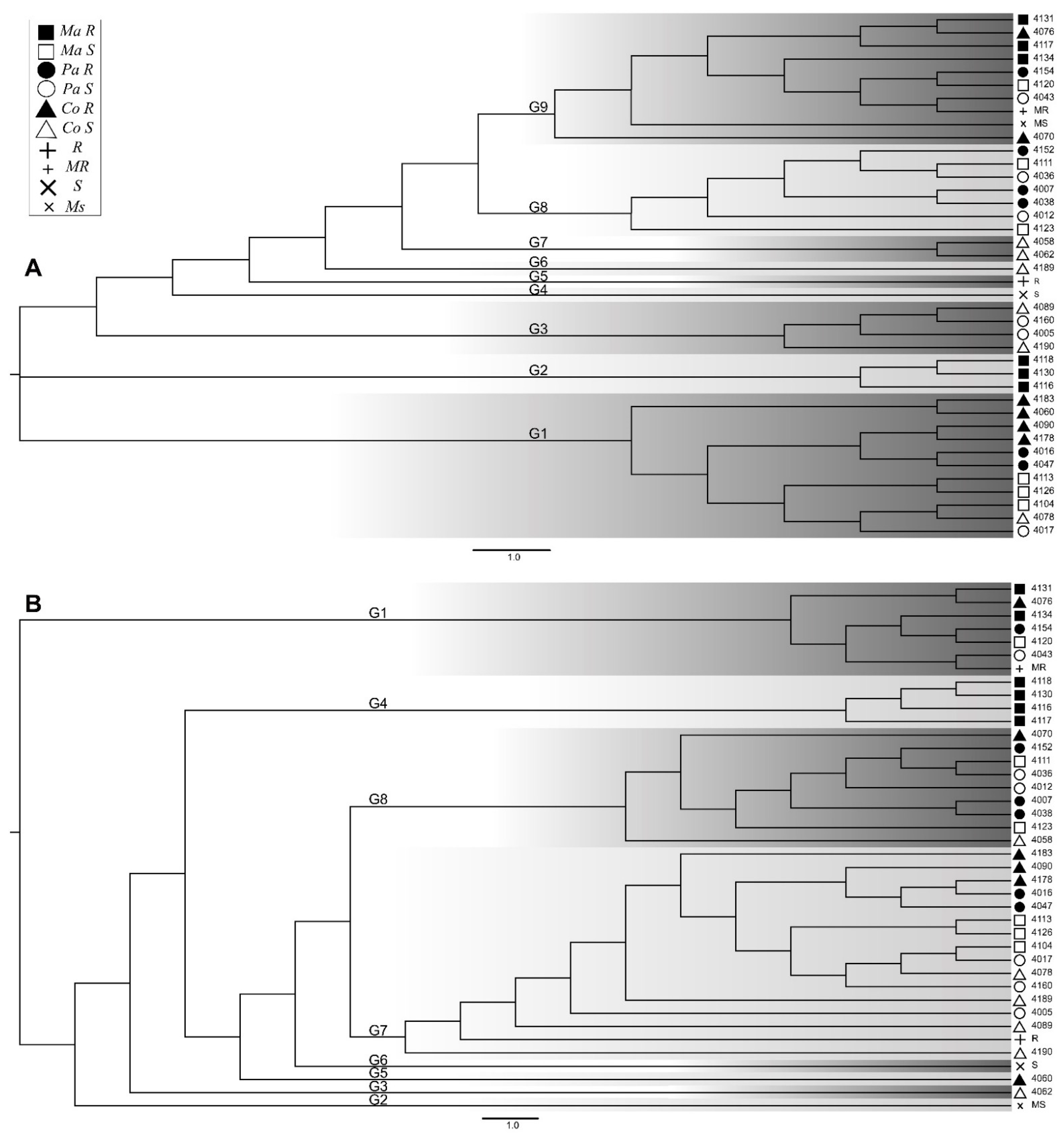 Pathogens 10 00961 g001