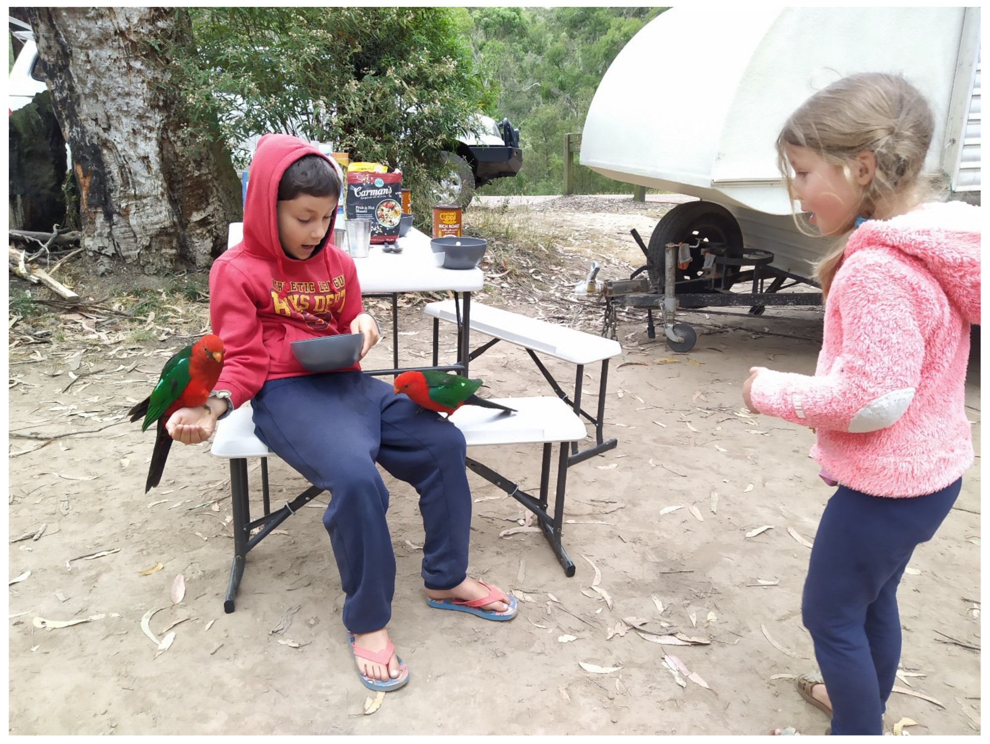 Pathogens 10 00968 g002