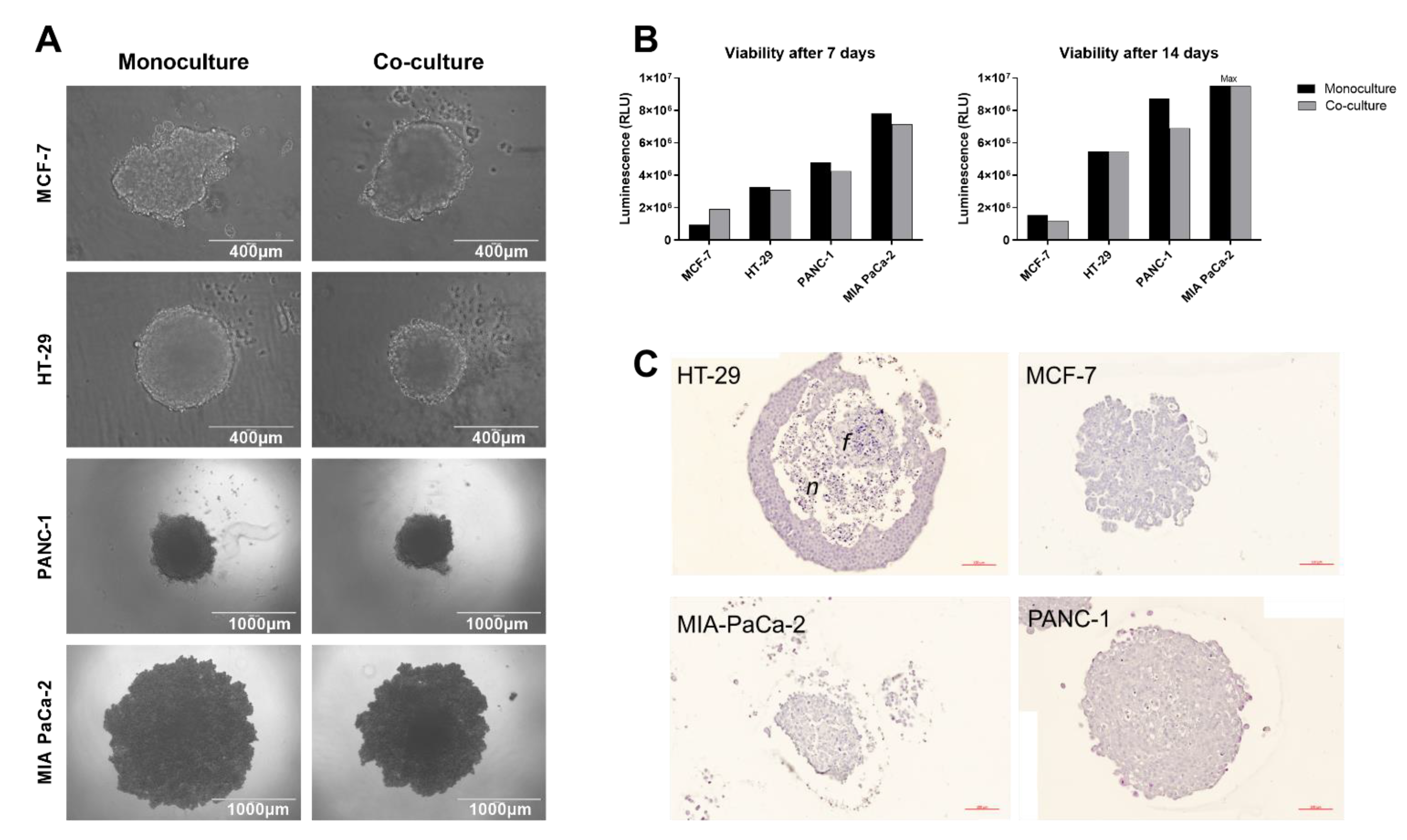 Pathogens 10 00969 g001