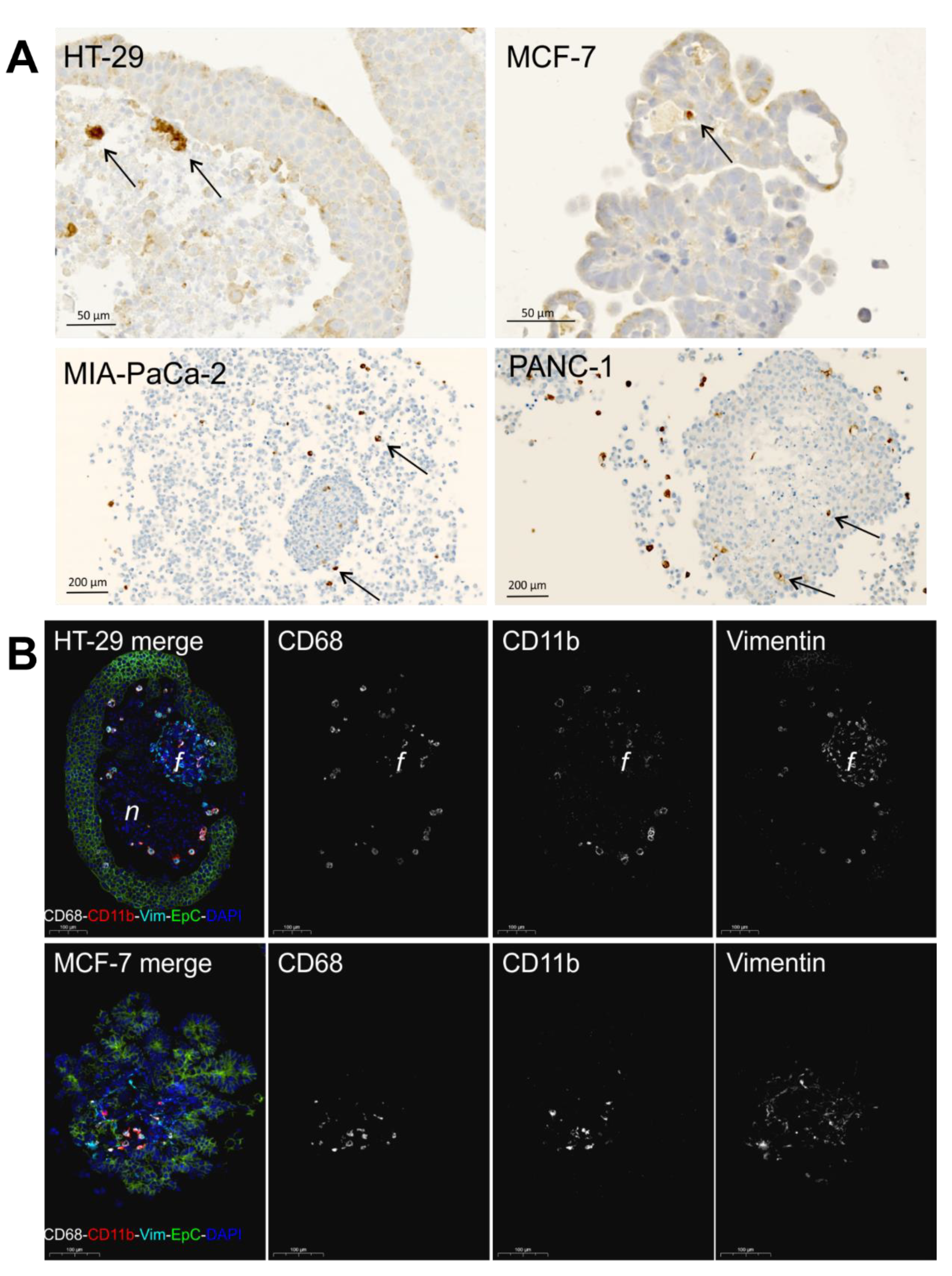 Pathogens 10 00969 g003