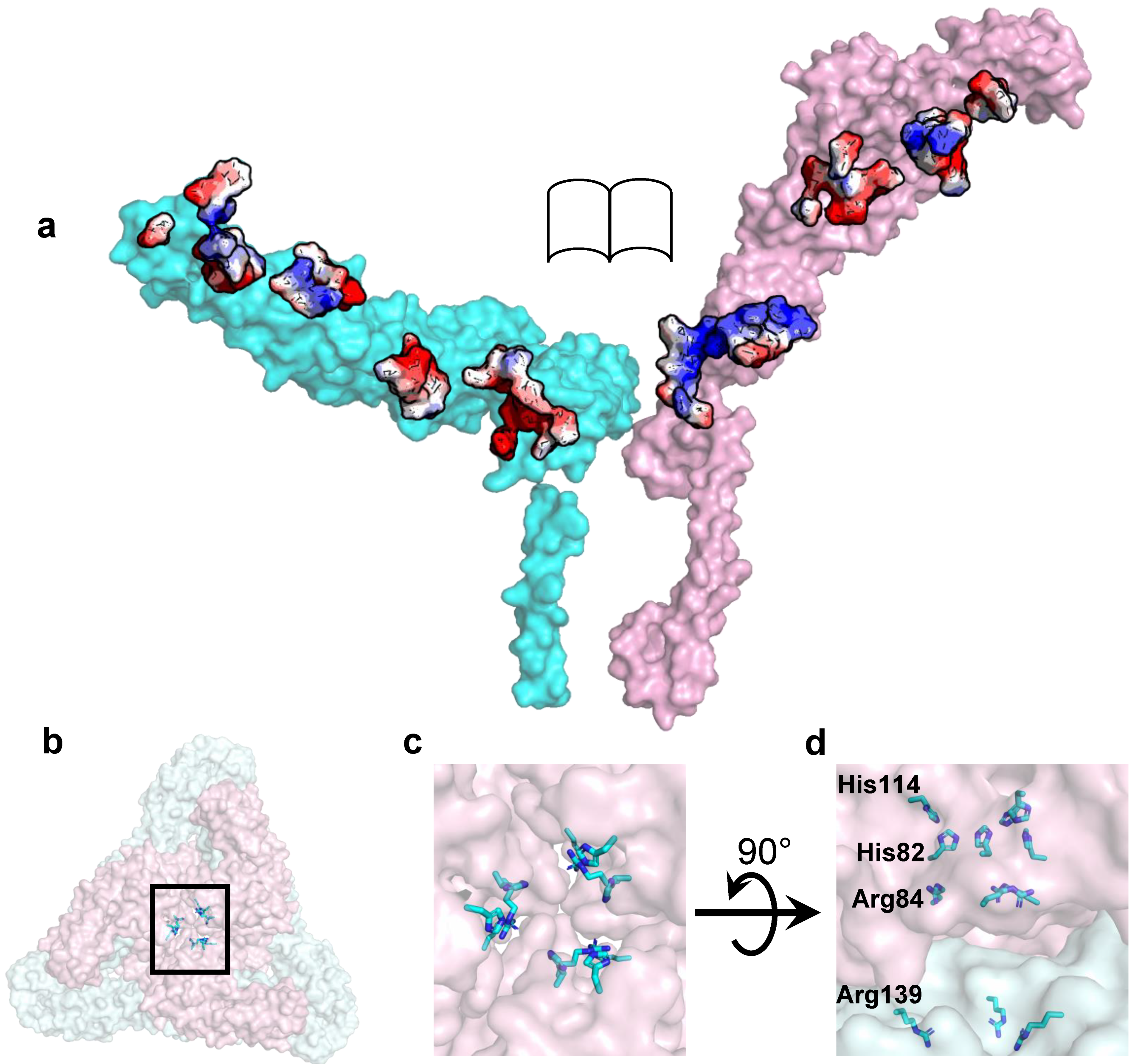 Pathogens 10 00973 g003