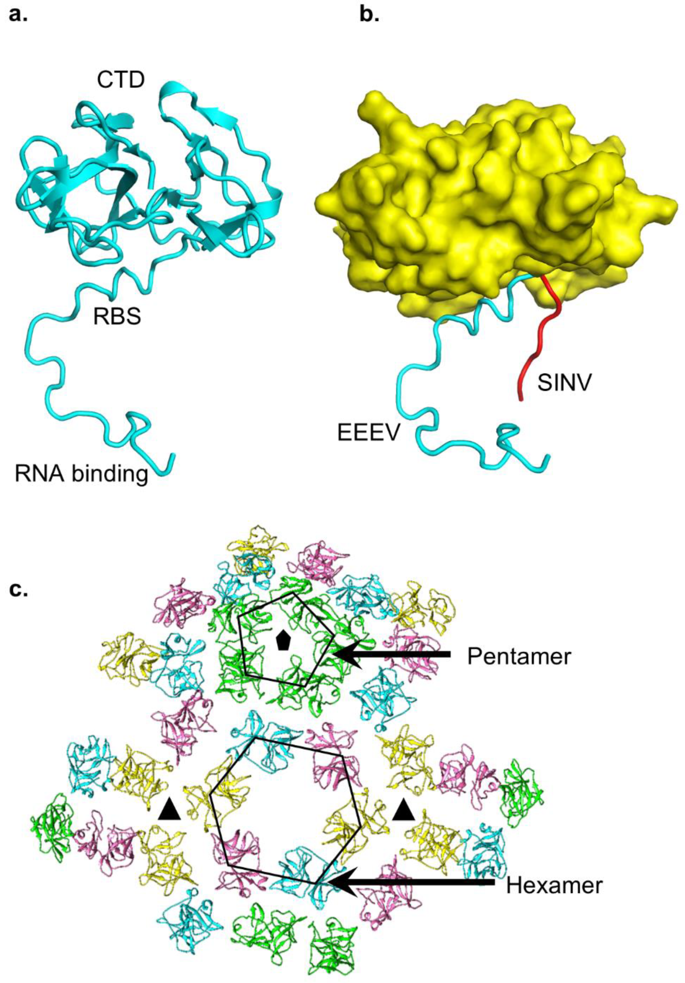 Pathogens 10 00973 g004