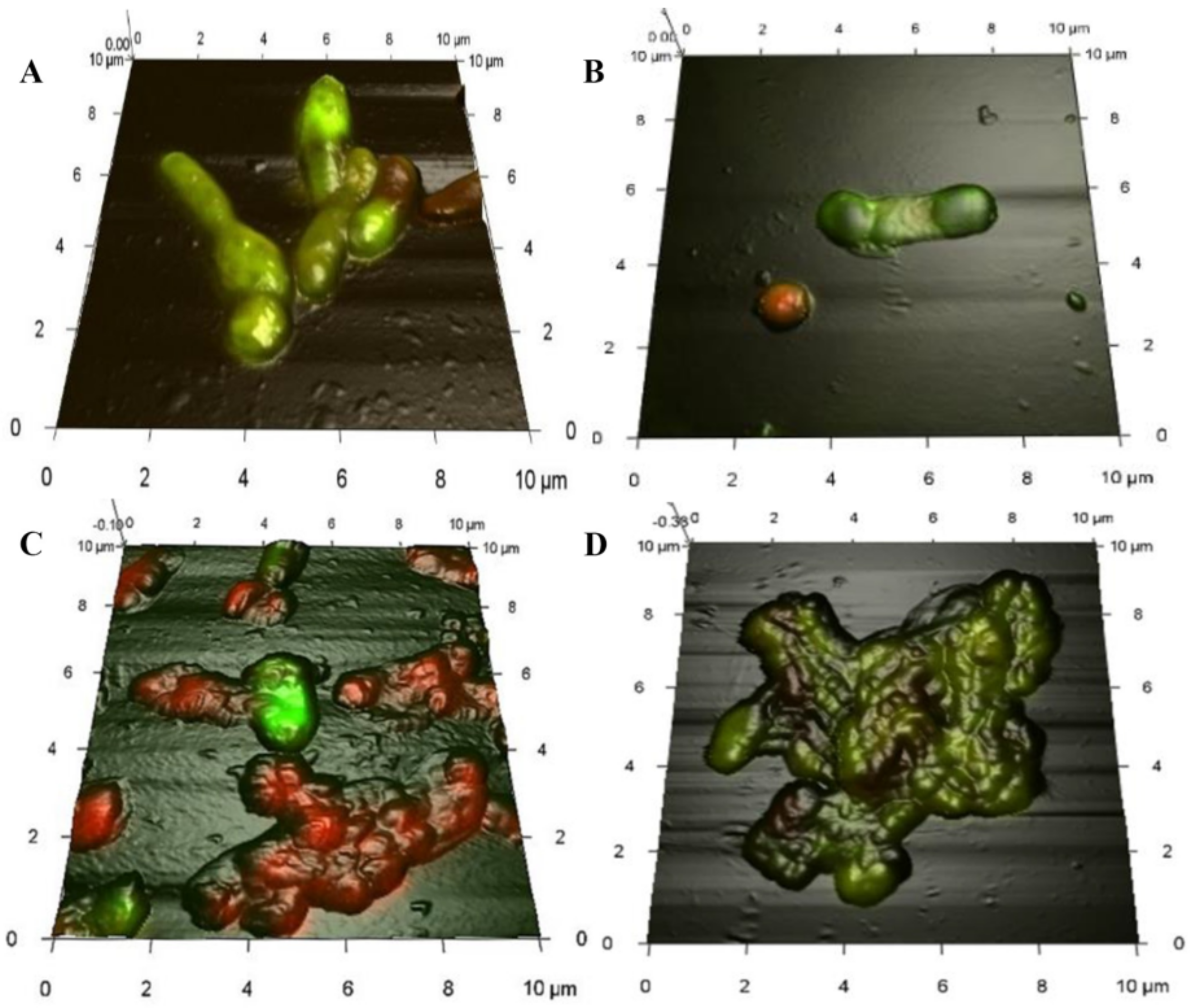 Pathogens 10 00974 g004