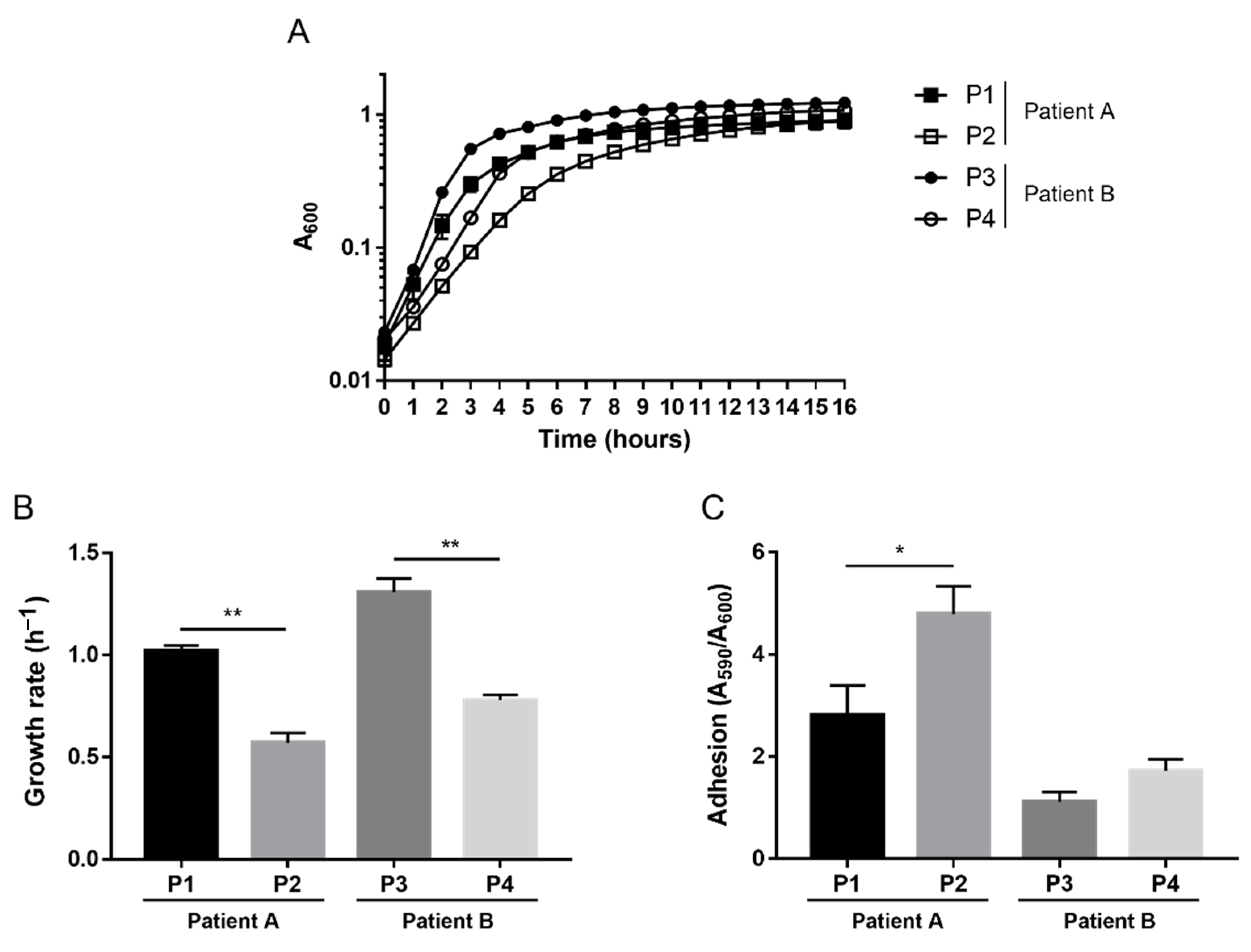Pathogens 10 00978 g001