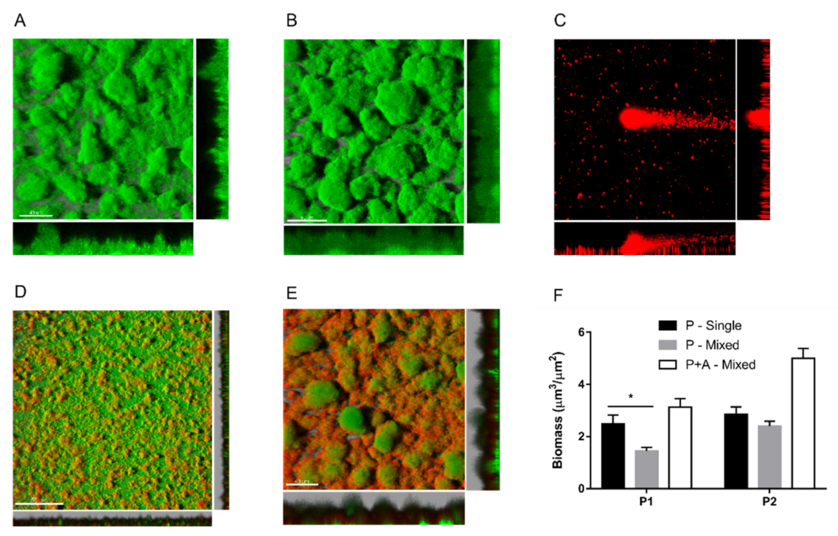 Pathogens 10 00978 g003