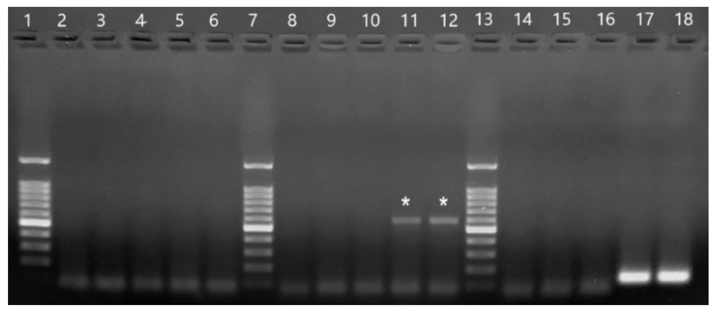 Pathogens 10 00983 g003 Pathogens 10 00983 g003
