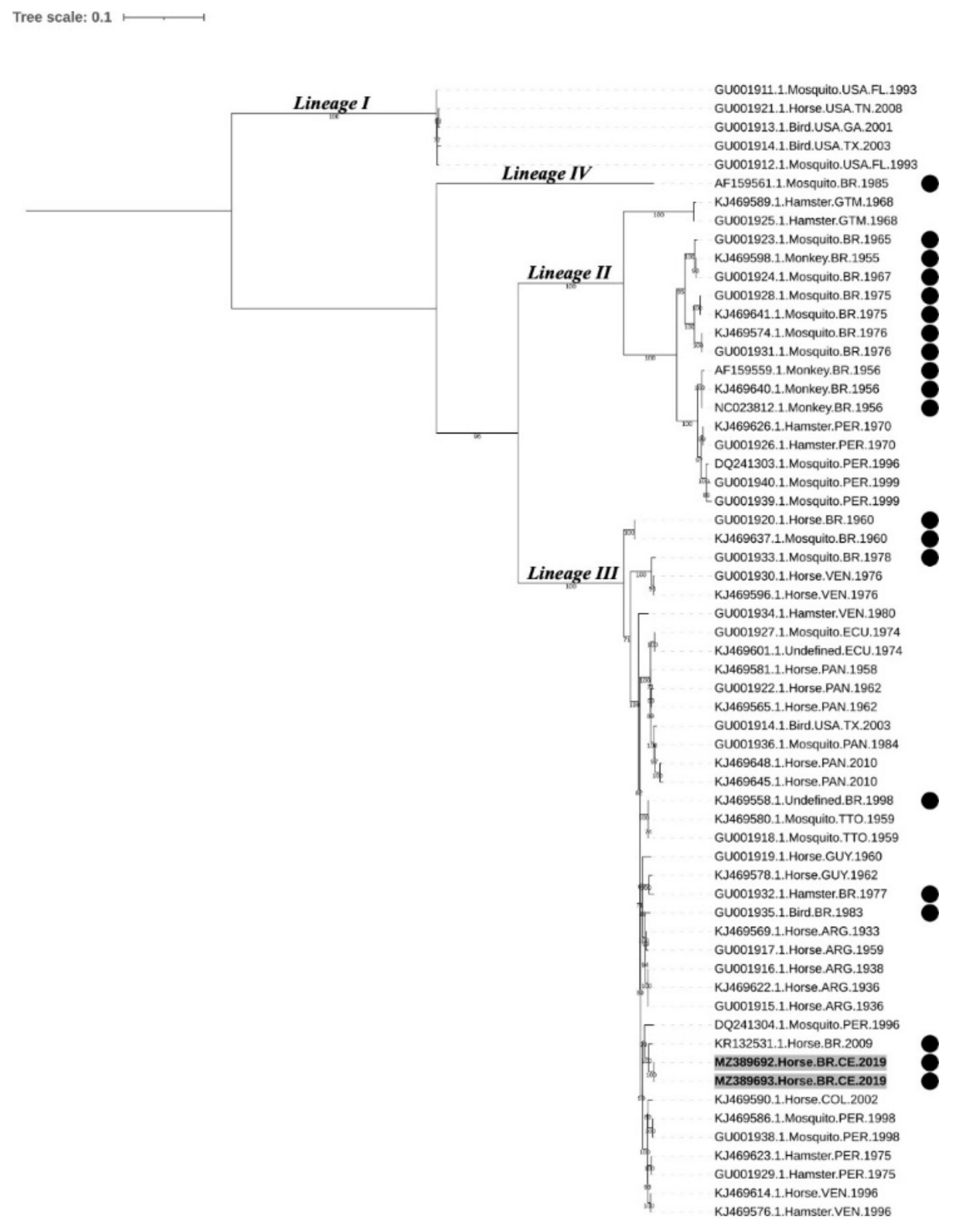 Pathogens 10 00983 g004 Pathogens 10 00983 g004