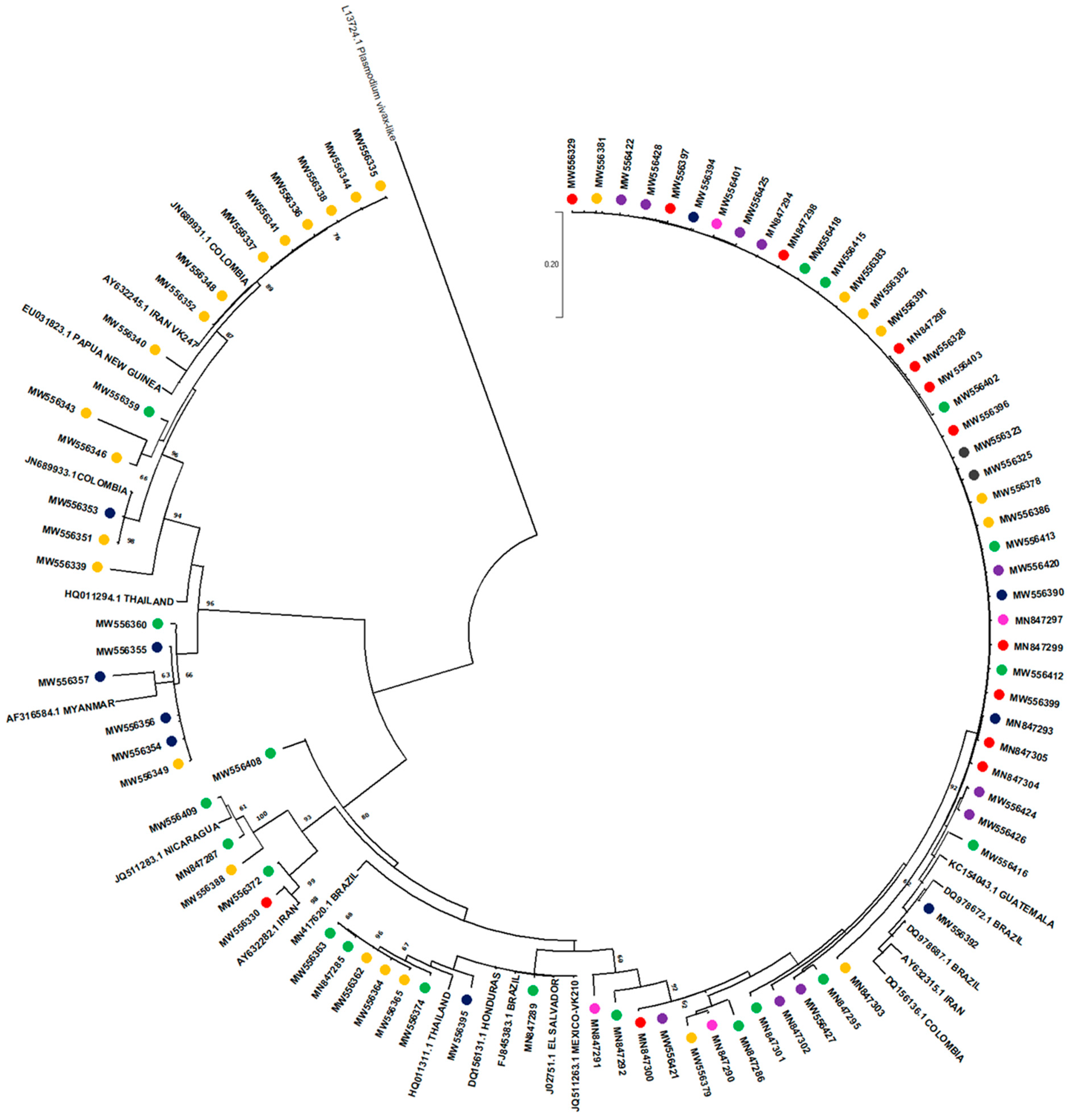 Pathogens 10 00989 g004 Pathogens 10 00989 g004