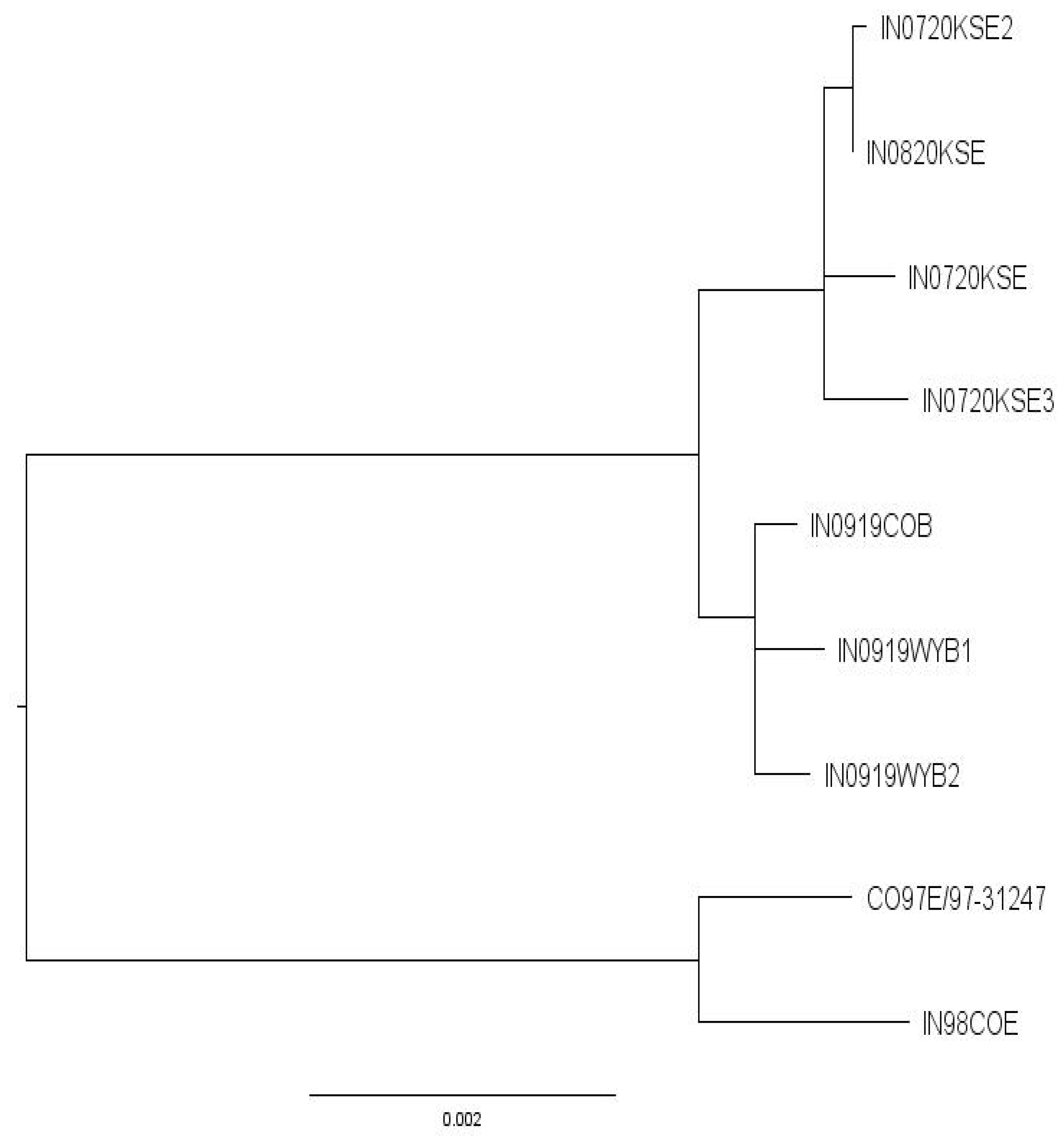 Pathogens 10 00993 g005