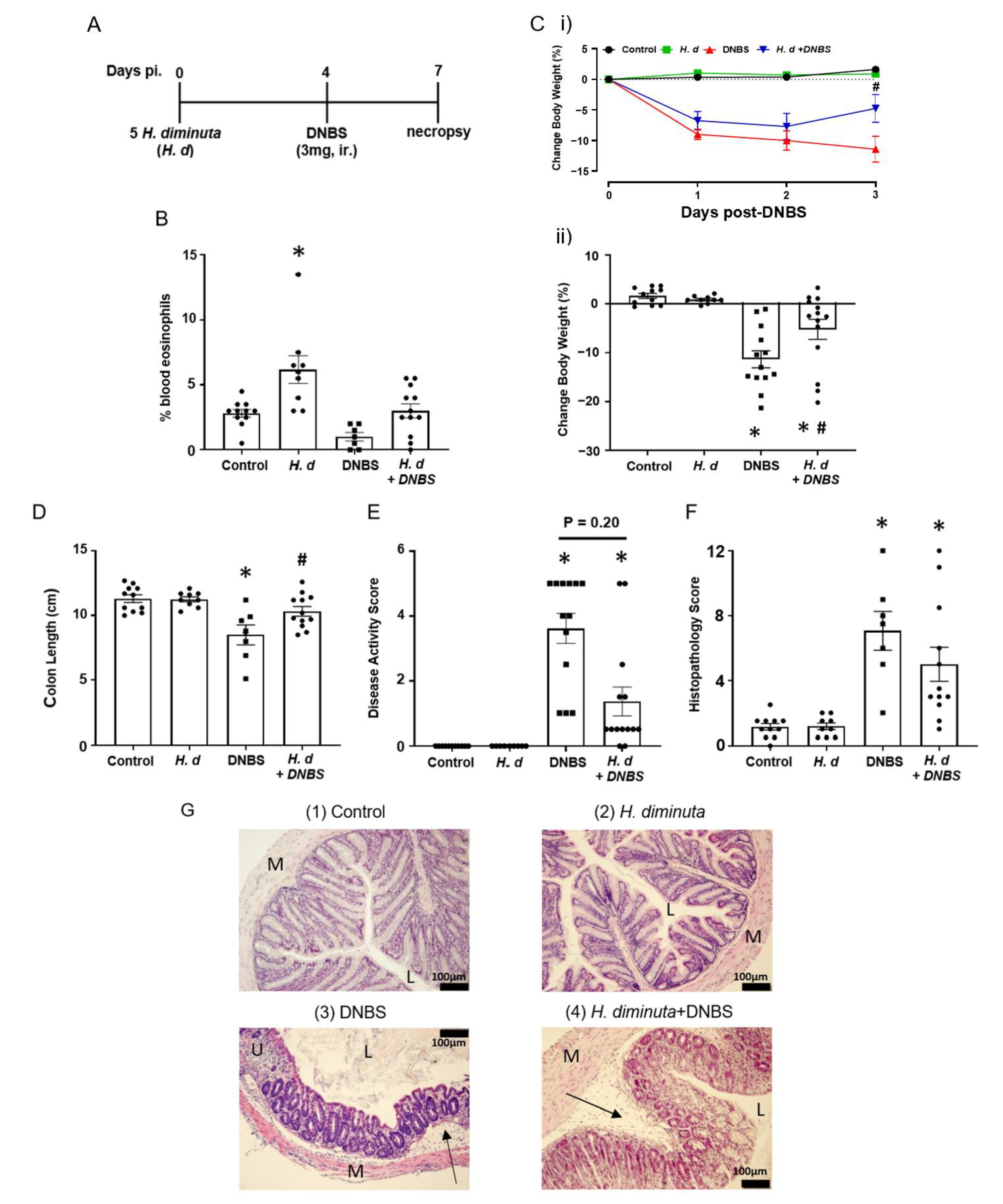 Pathogens 10 00994 g001