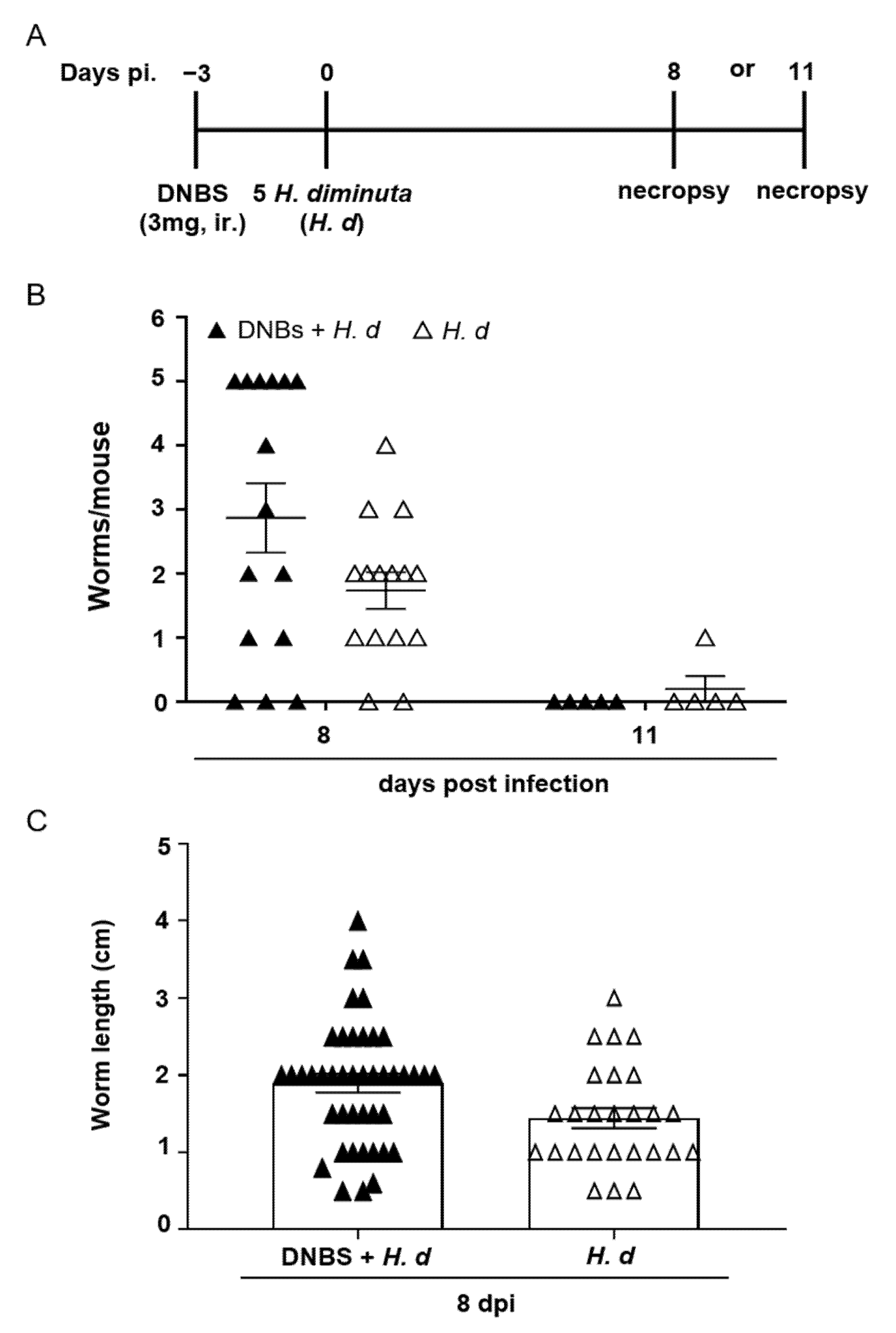 Pathogens 10 00994 g003