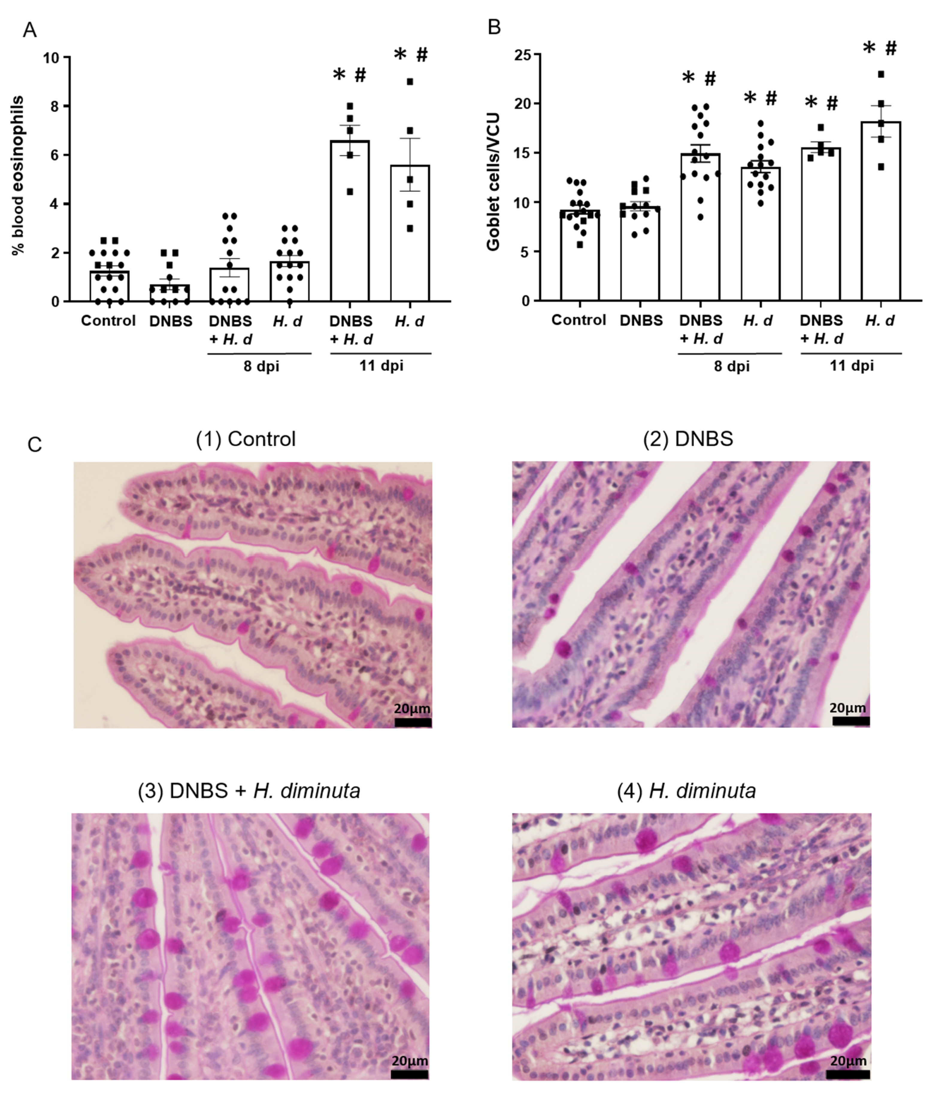 Pathogens 10 00994 g004