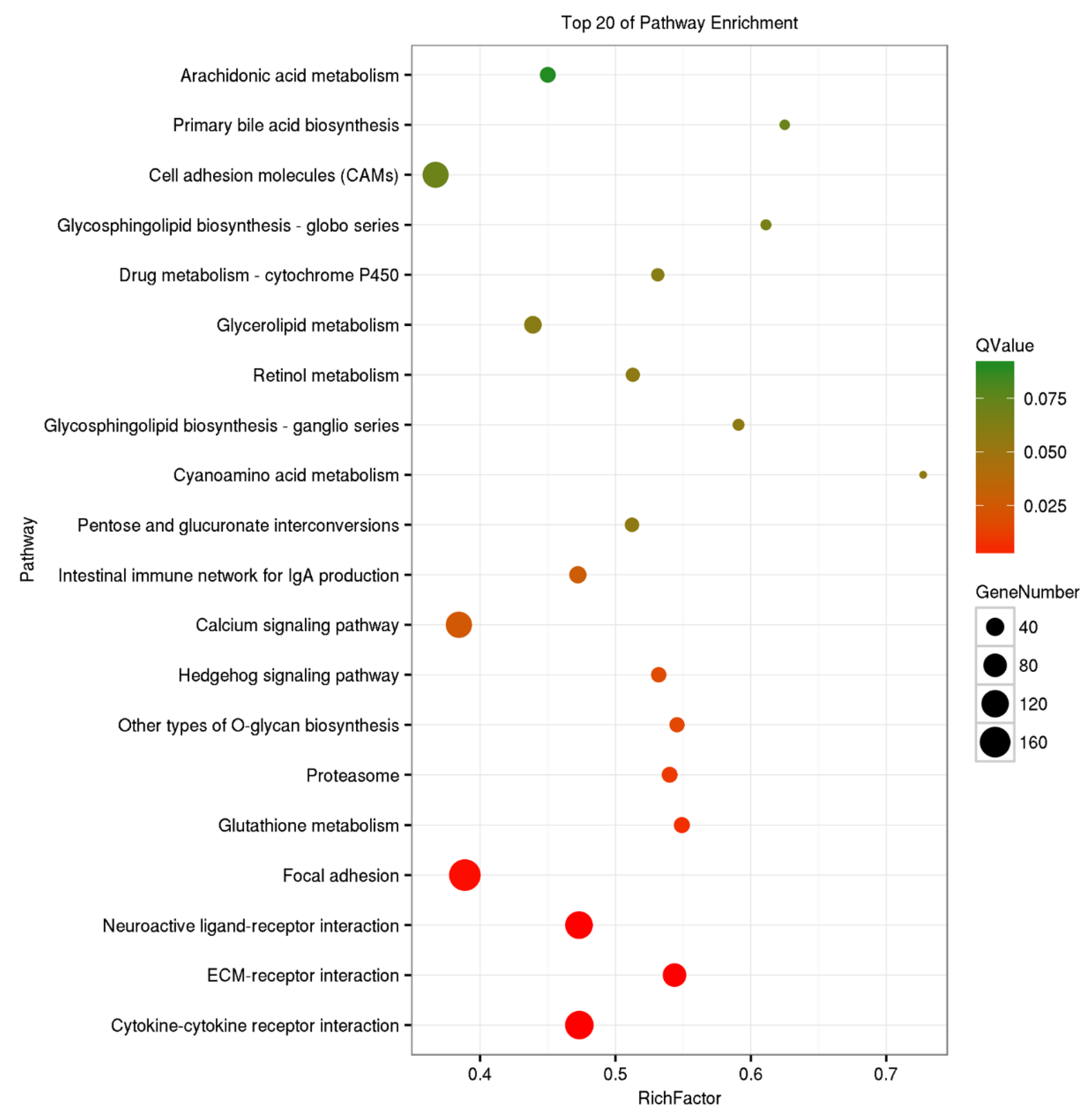 Pathogens 10 00997 g004