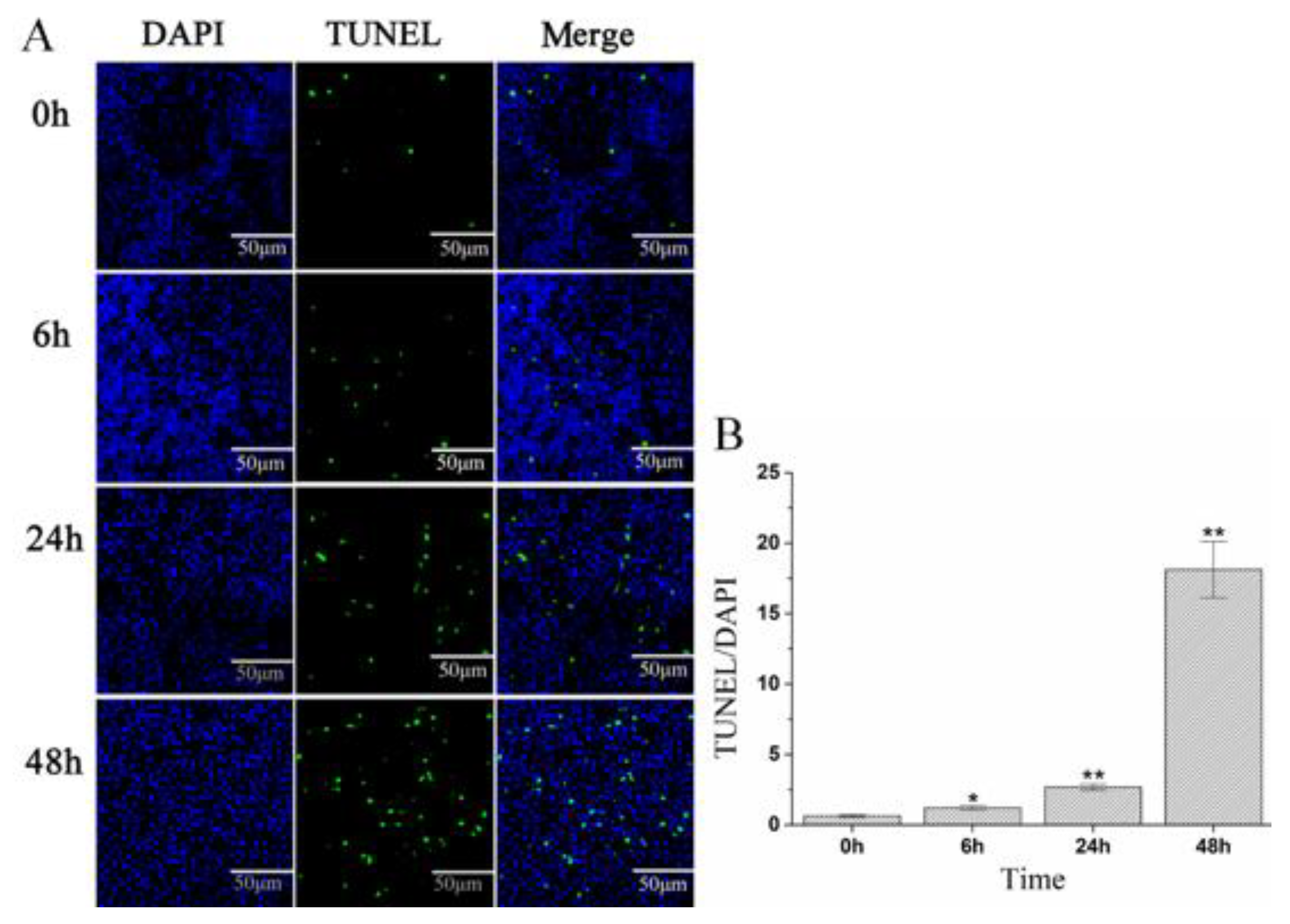 Pathogens 10 00997 g008