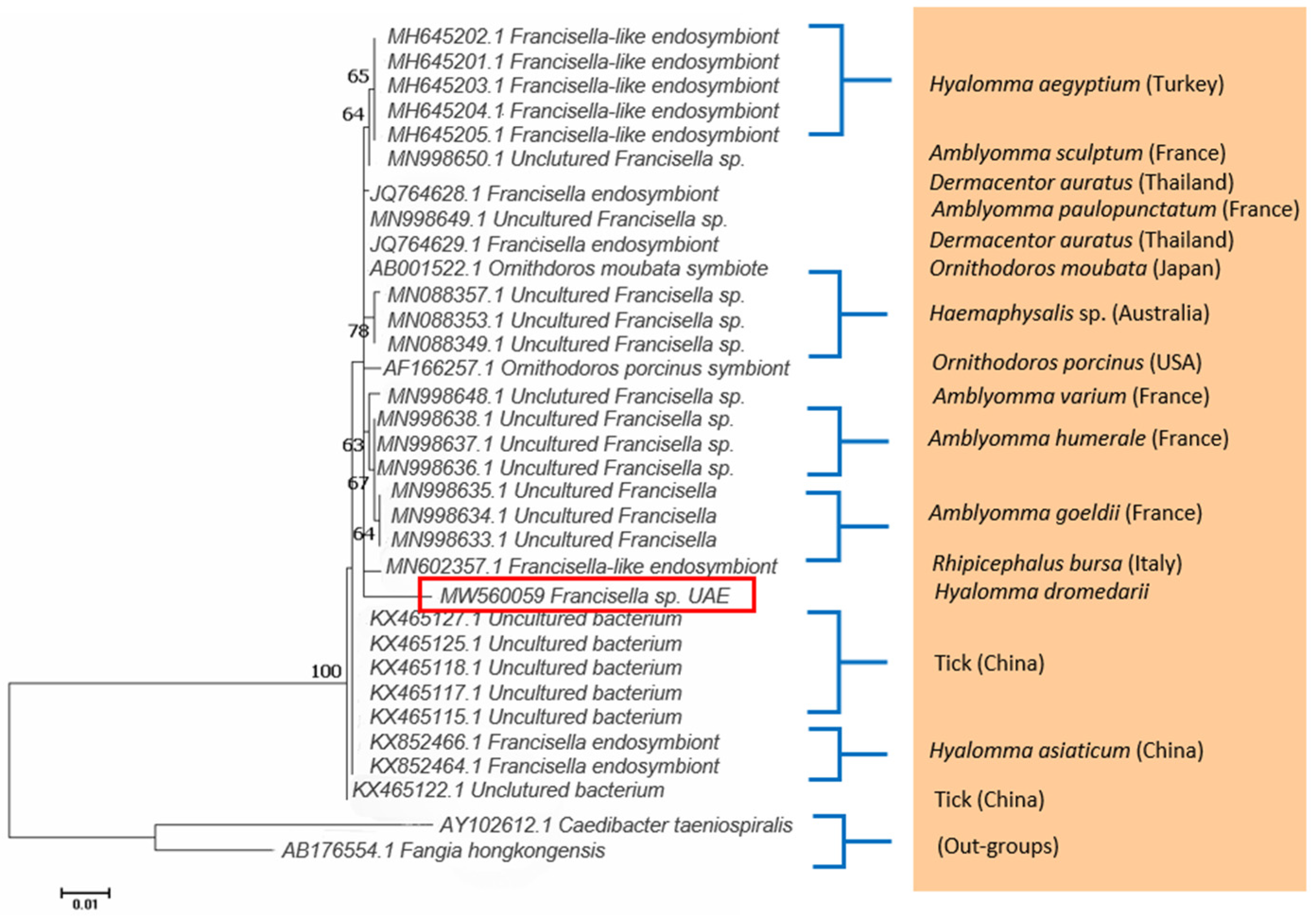 Pathogens 10 01005 g001