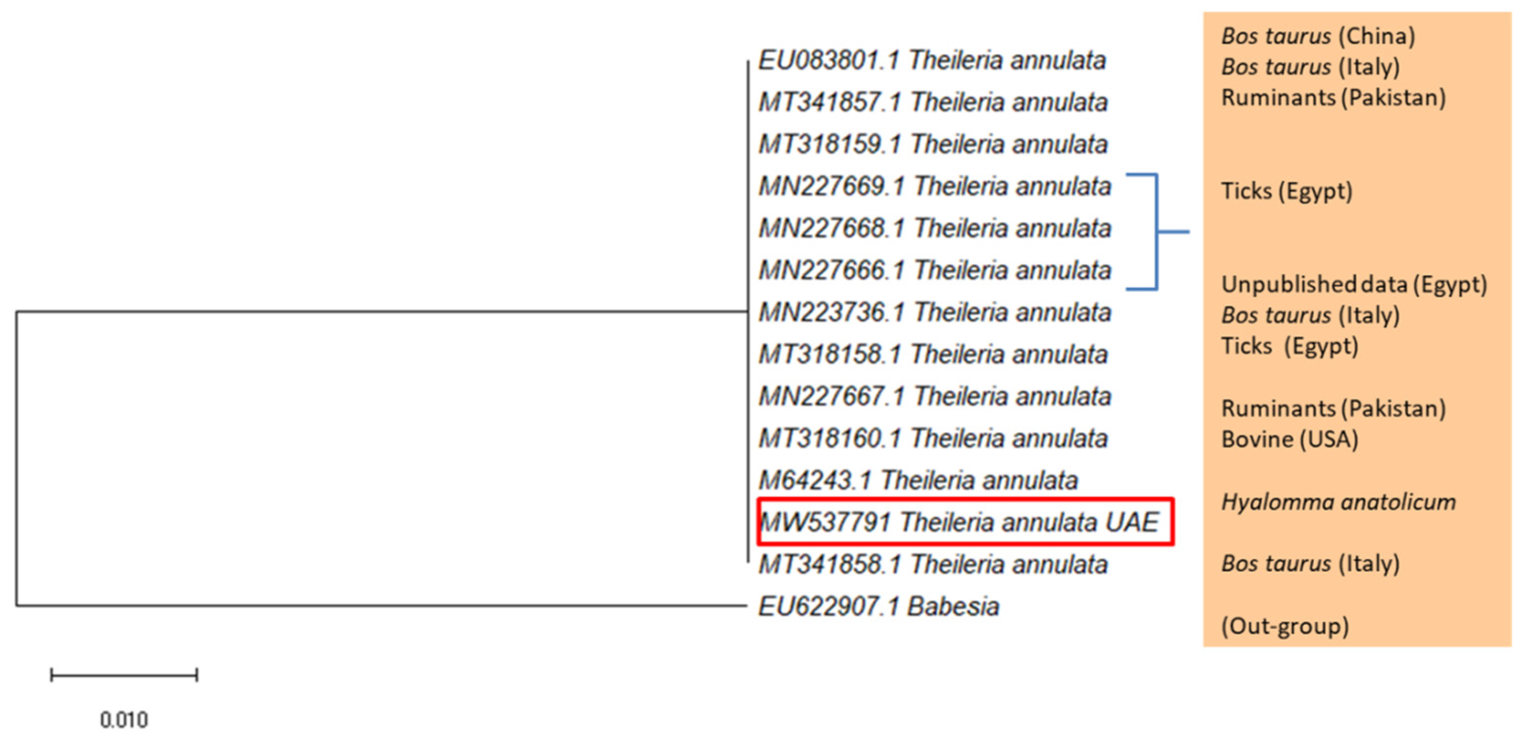 Pathogens 10 01005 g003