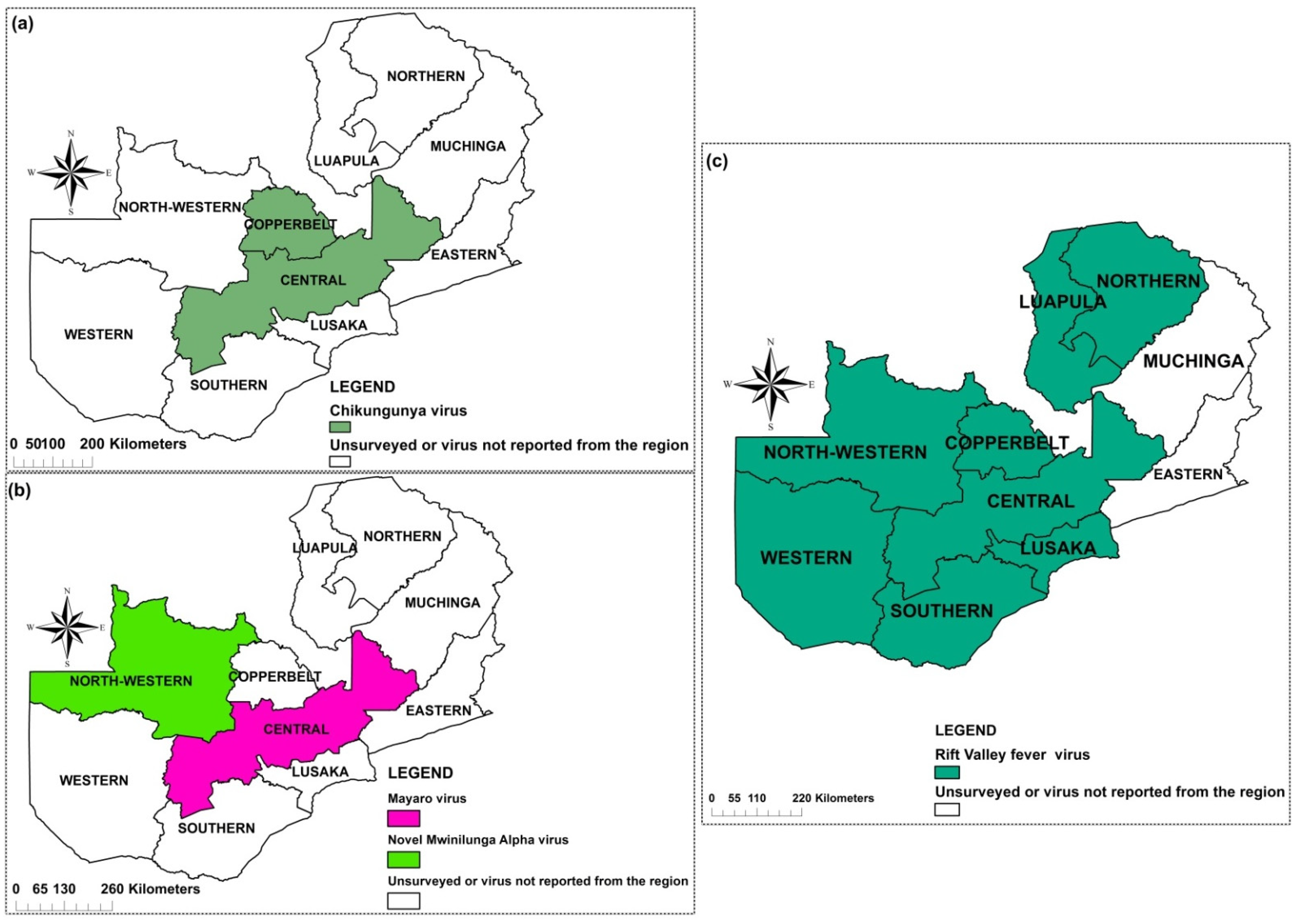 Pathogens 10 01007 g003