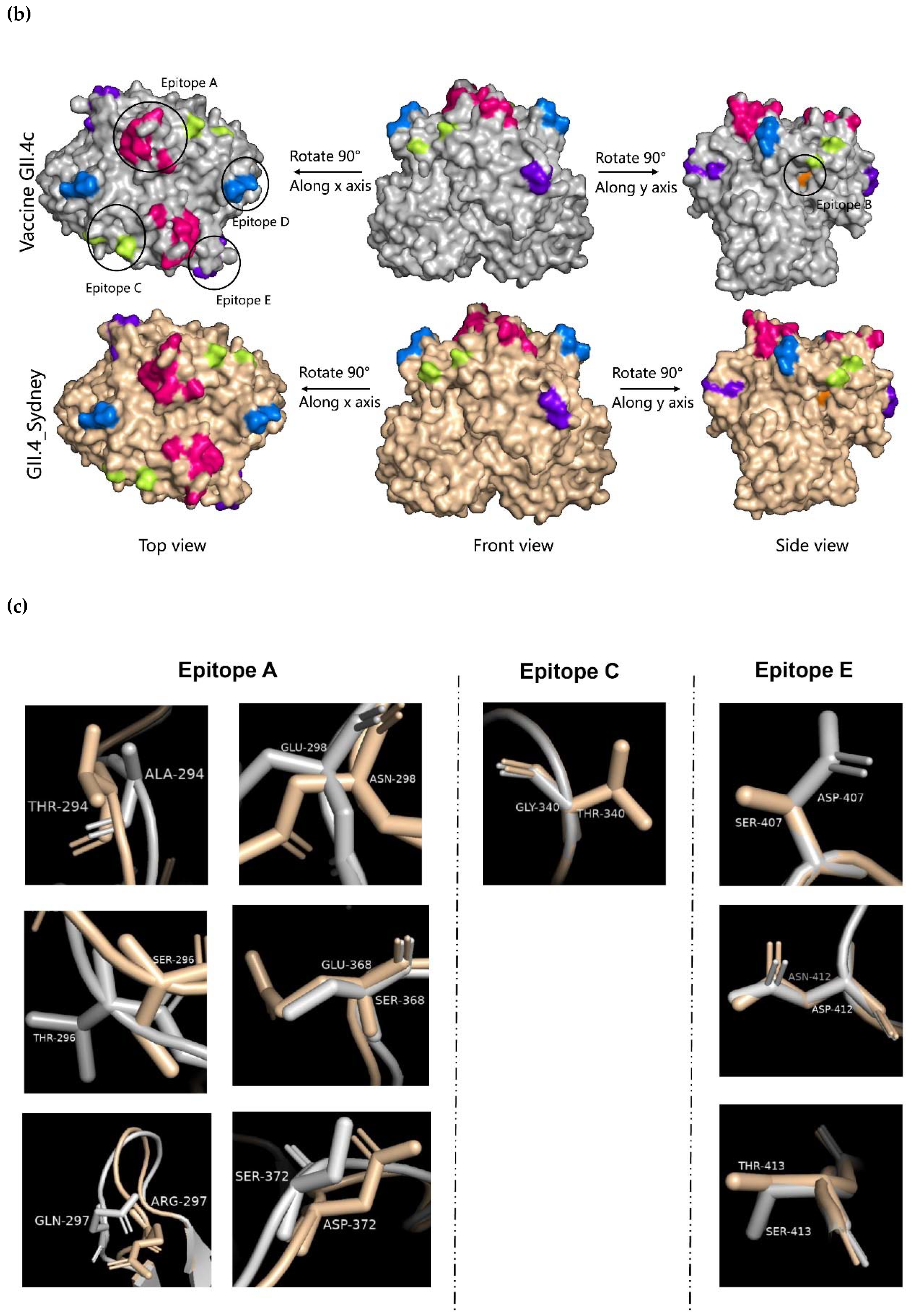 Pathogens 10 01012 g004b Pathogens 10 01012 g004b