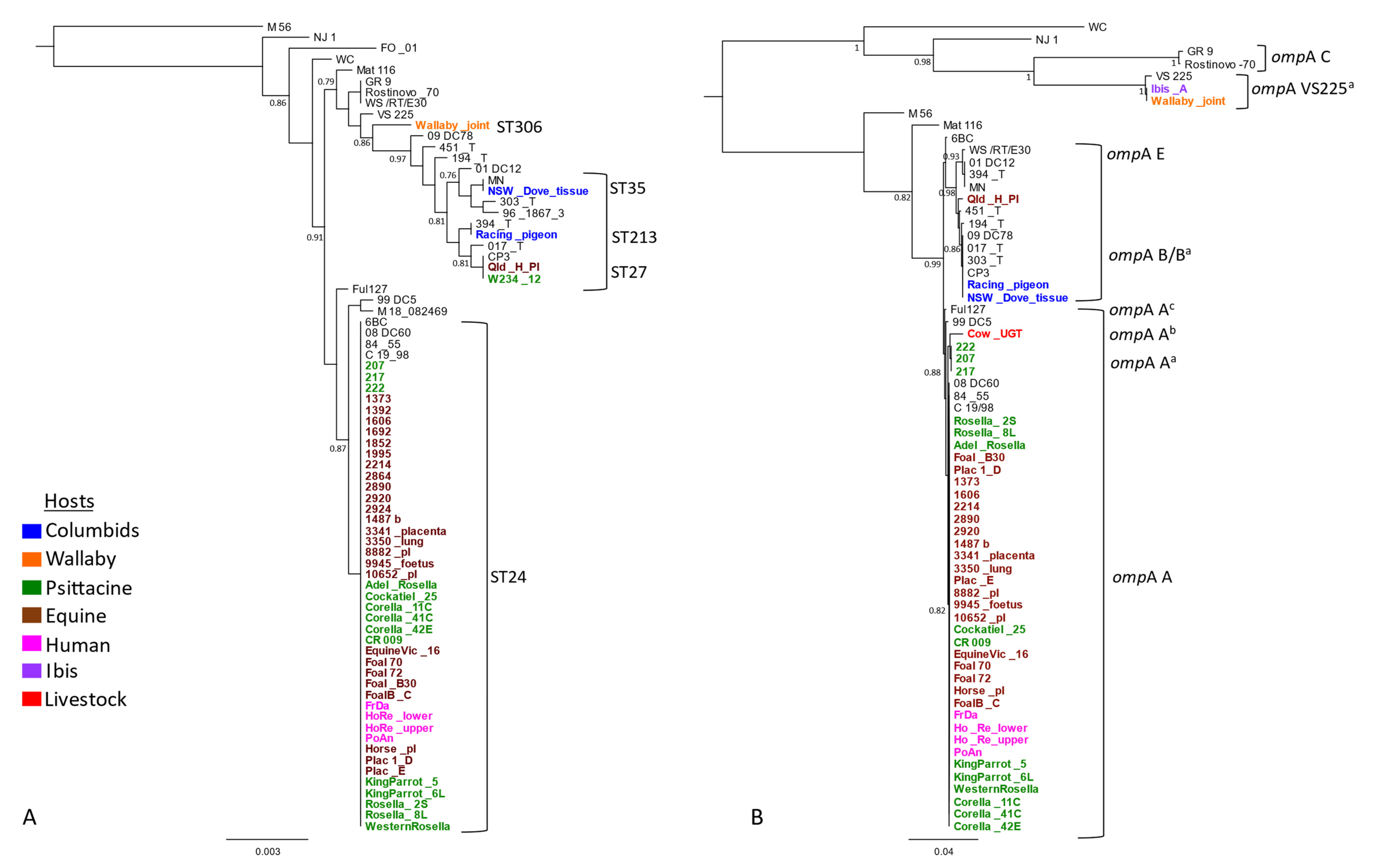 Pathogens 10 01015 g001