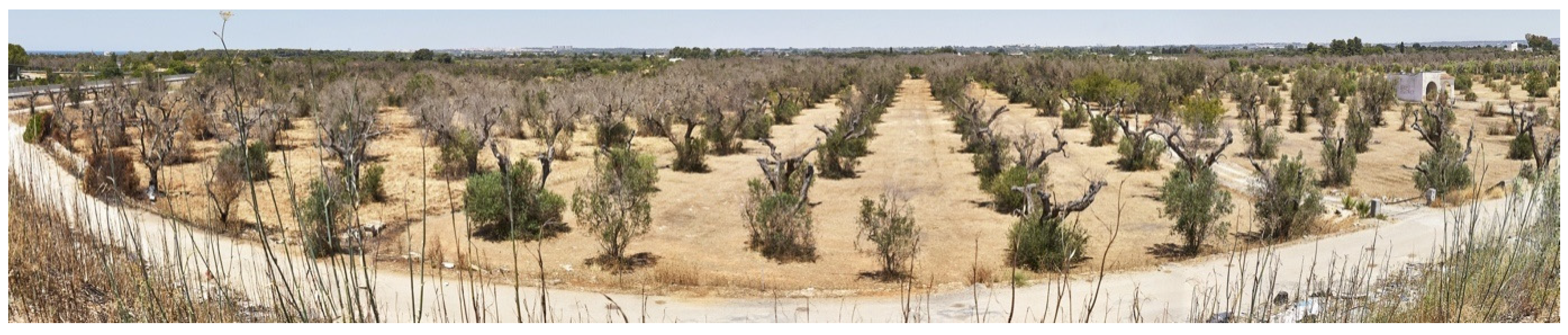 Pathogens 10 01035 g011