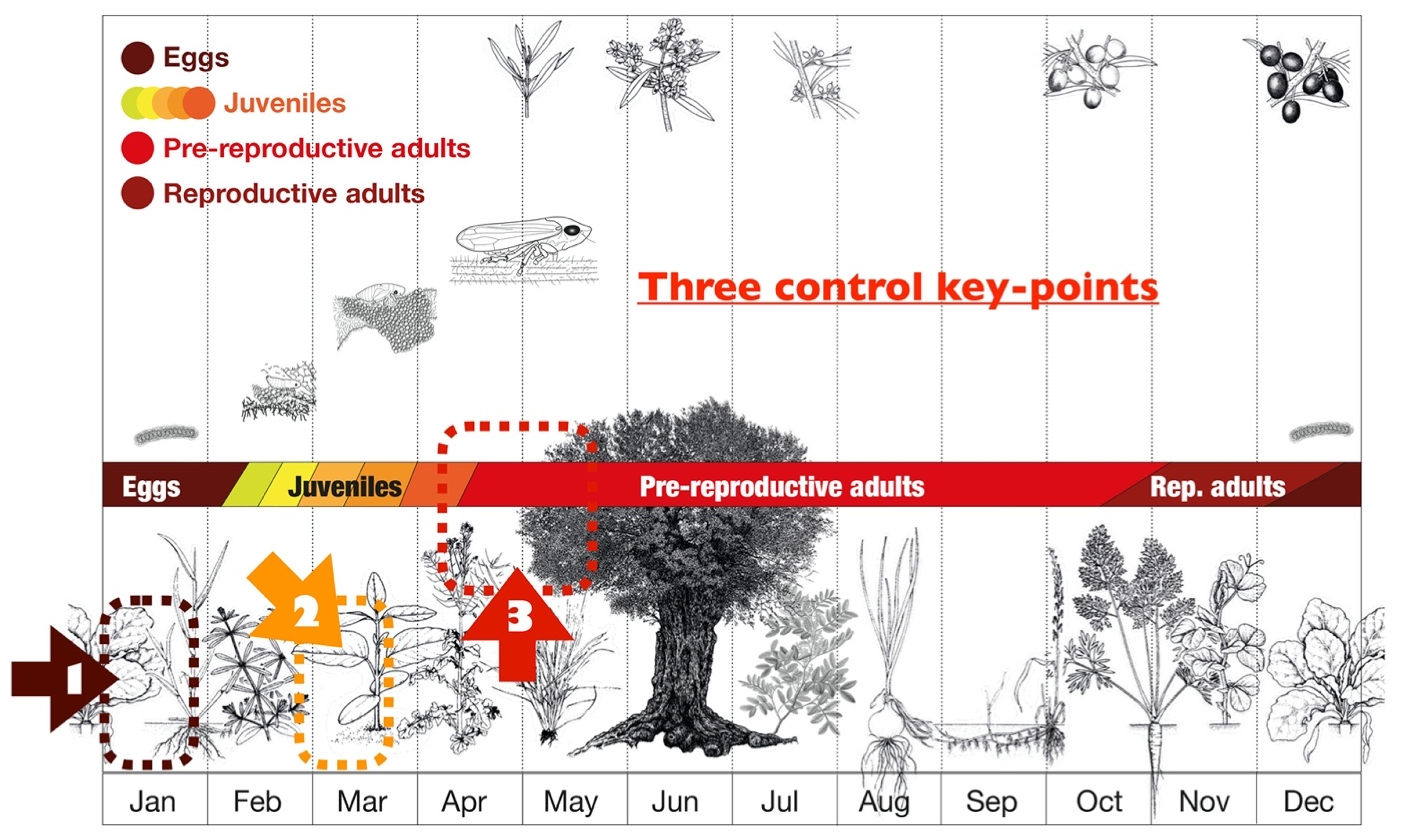 Pathogens 10 01035 g013