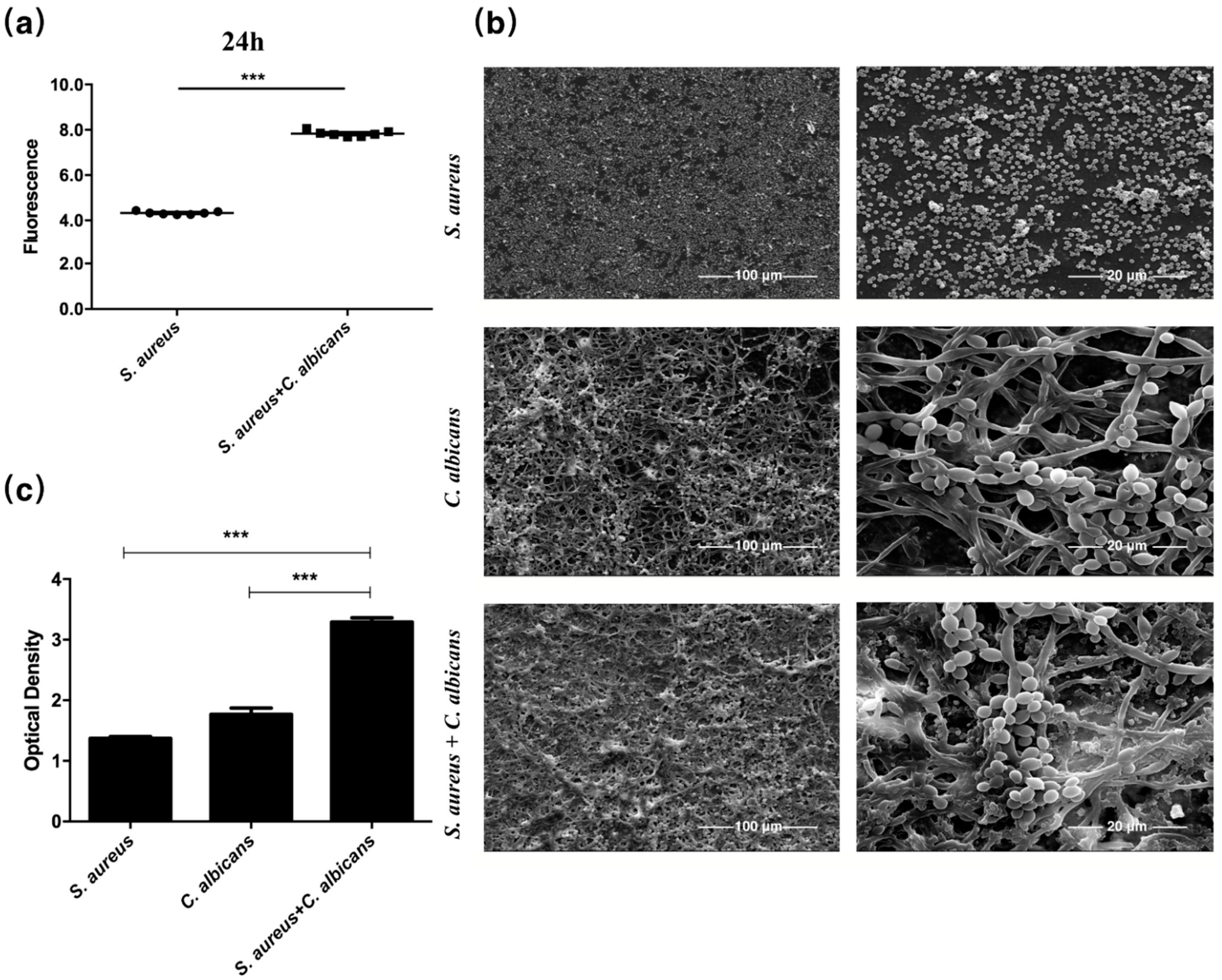 Pathogens 10 01036 g001