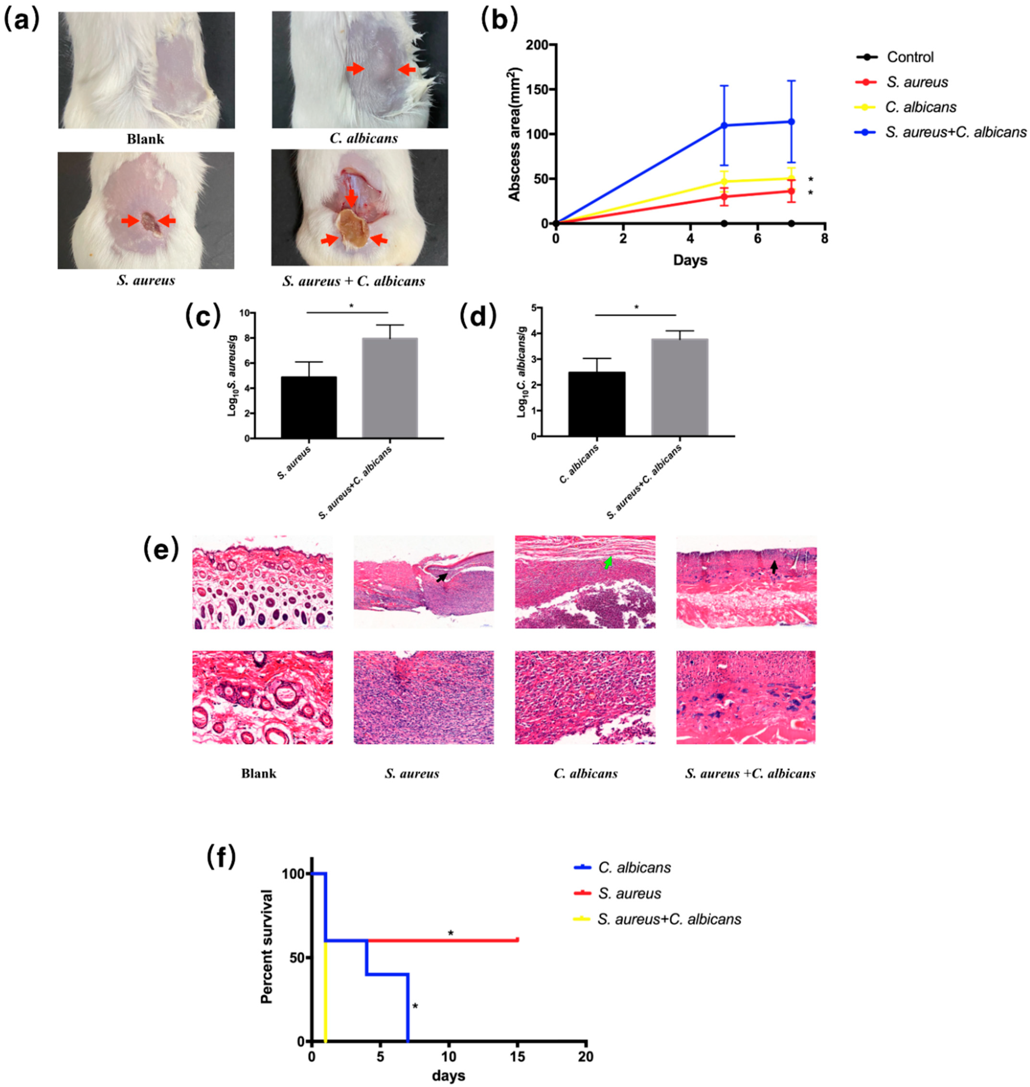 Pathogens 10 01036 g002