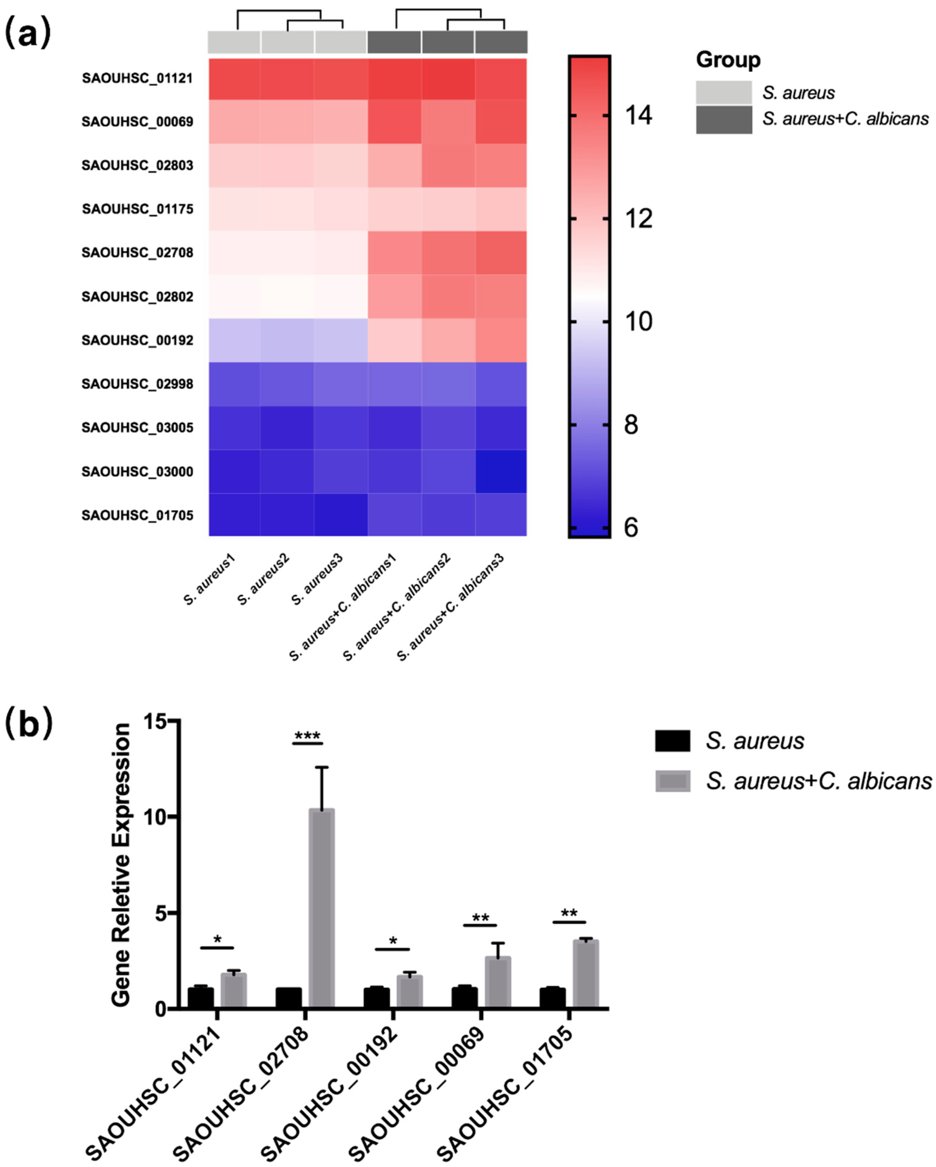 Pathogens 10 01036 g003