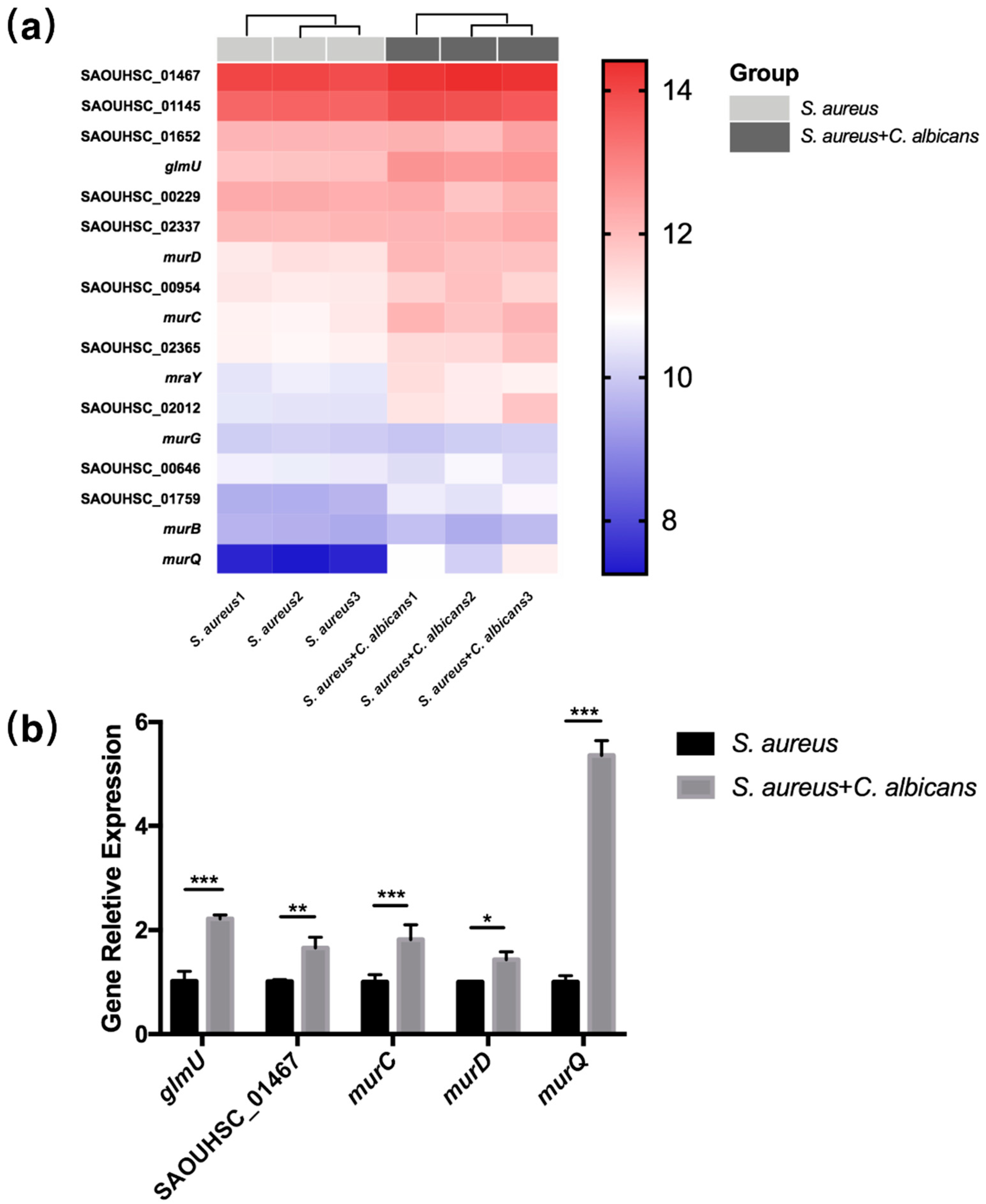 Pathogens 10 01036 g004