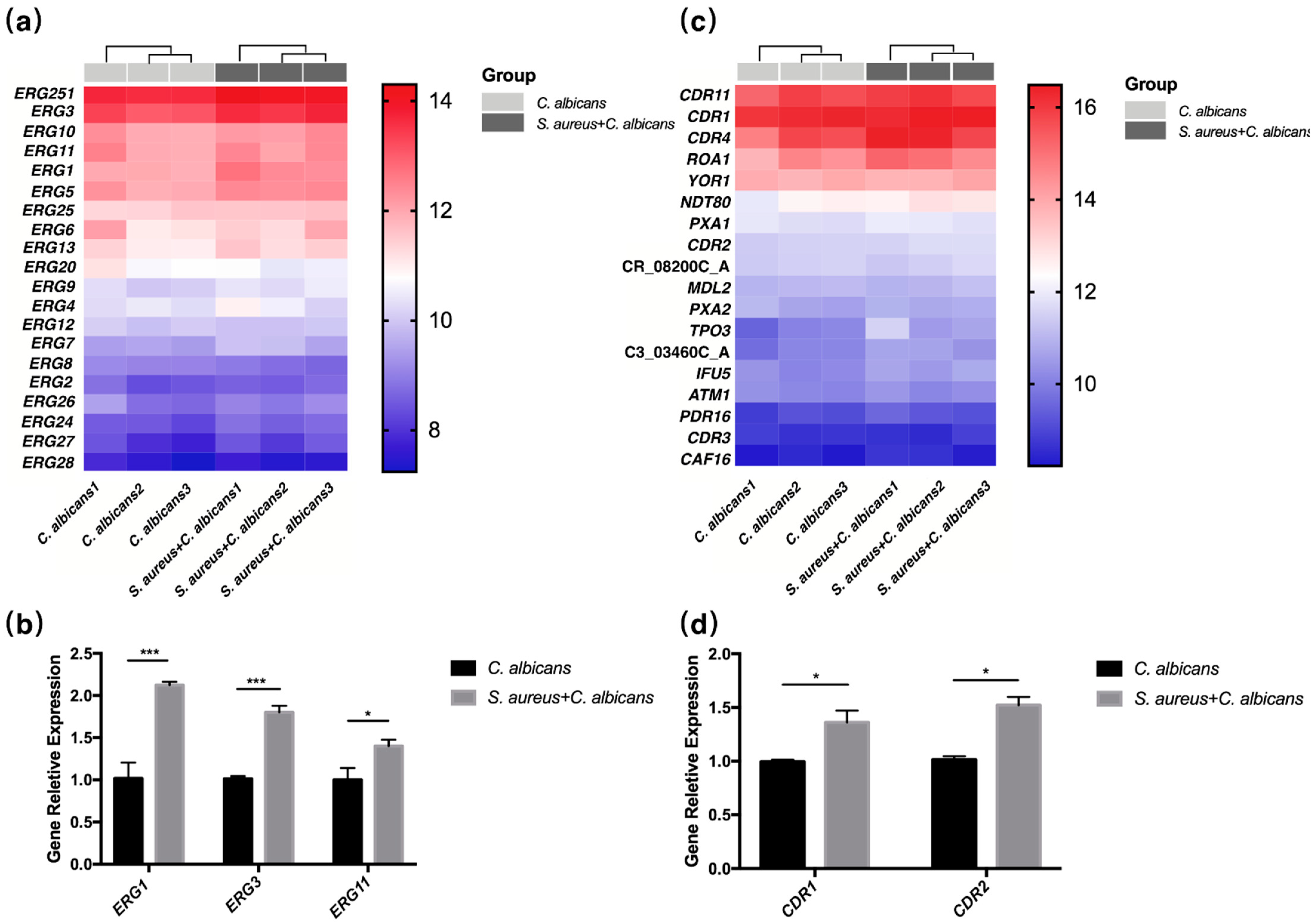 Pathogens 10 01036 g005