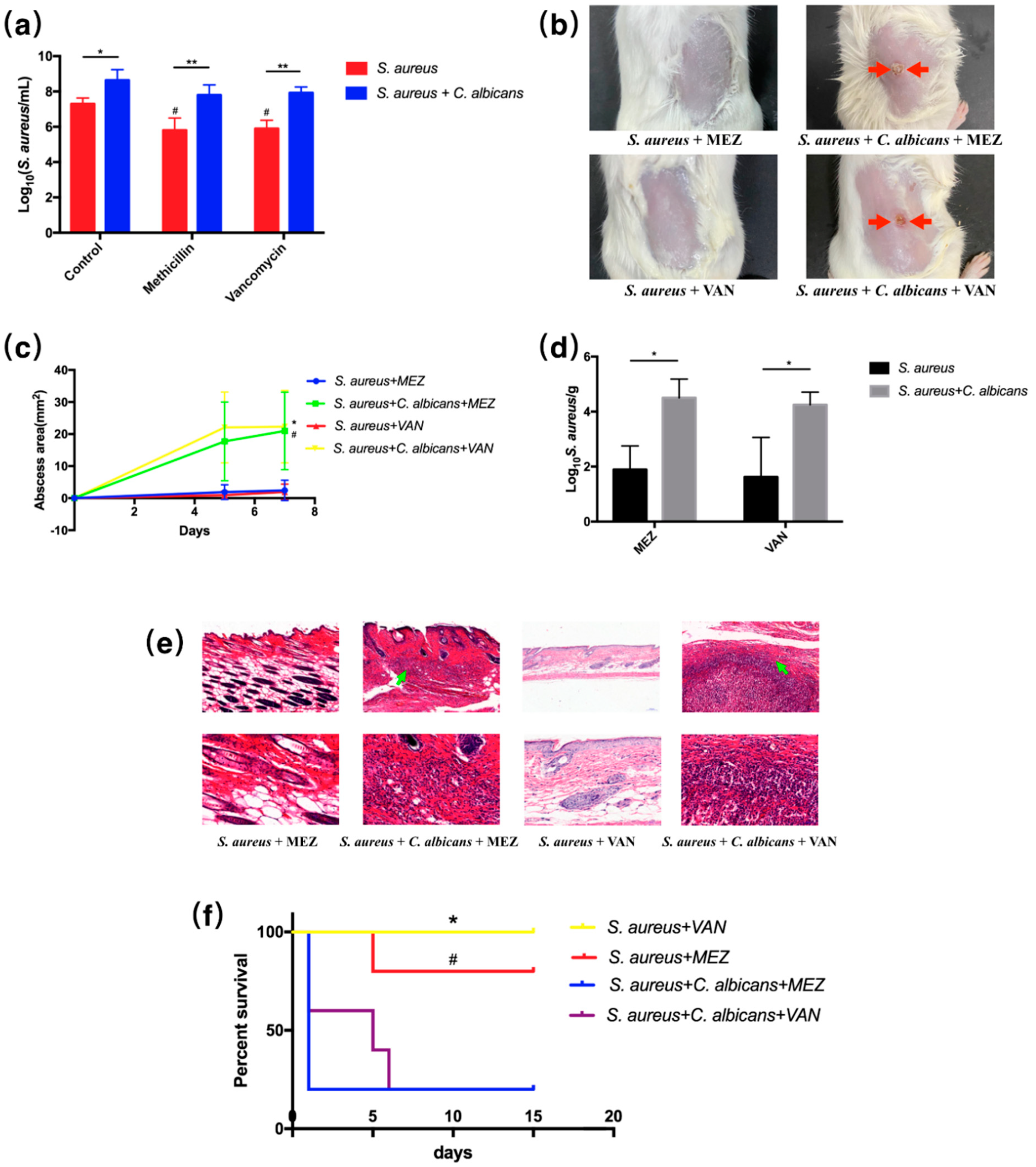 Pathogens 10 01036 g006