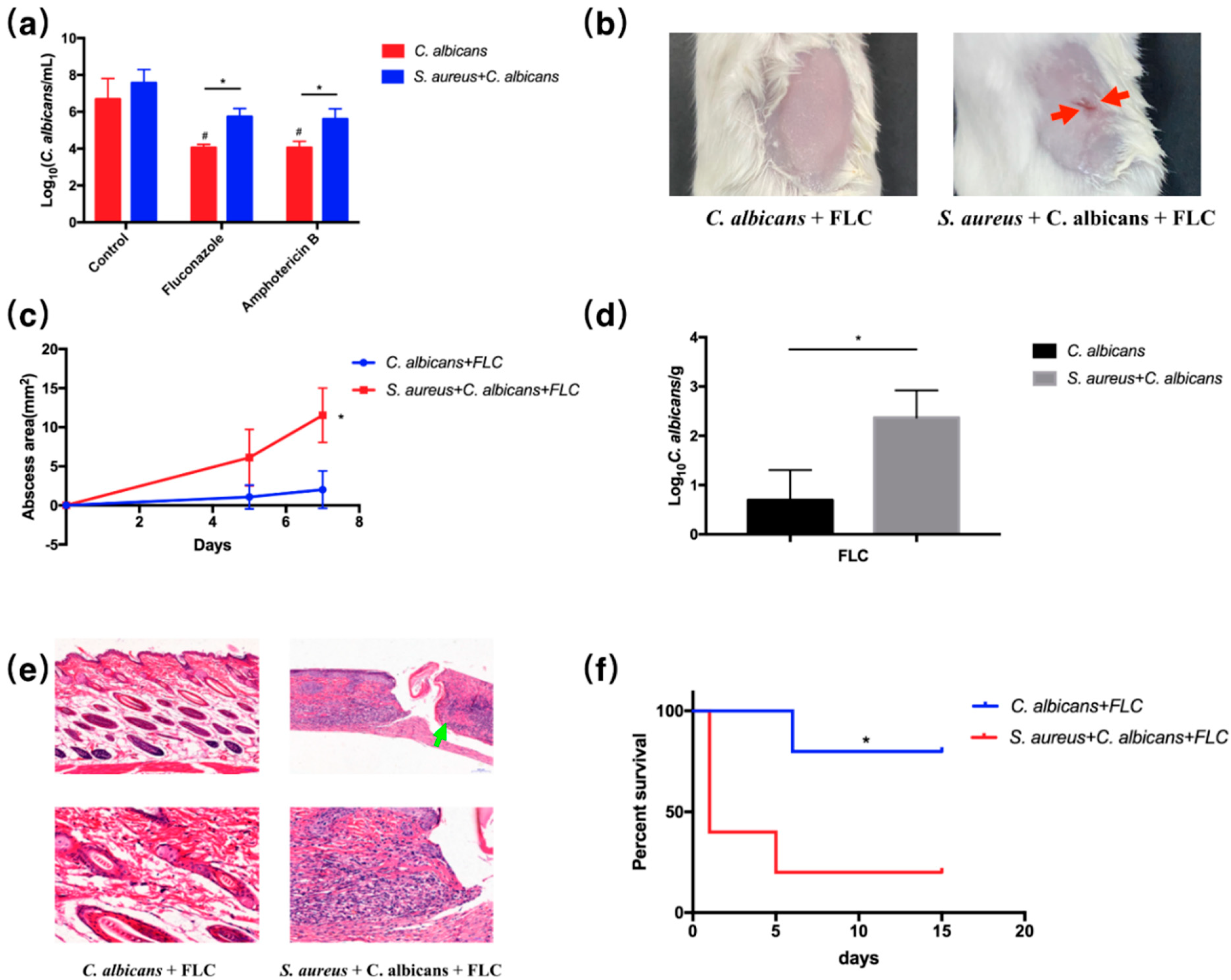 Pathogens 10 01036 g007