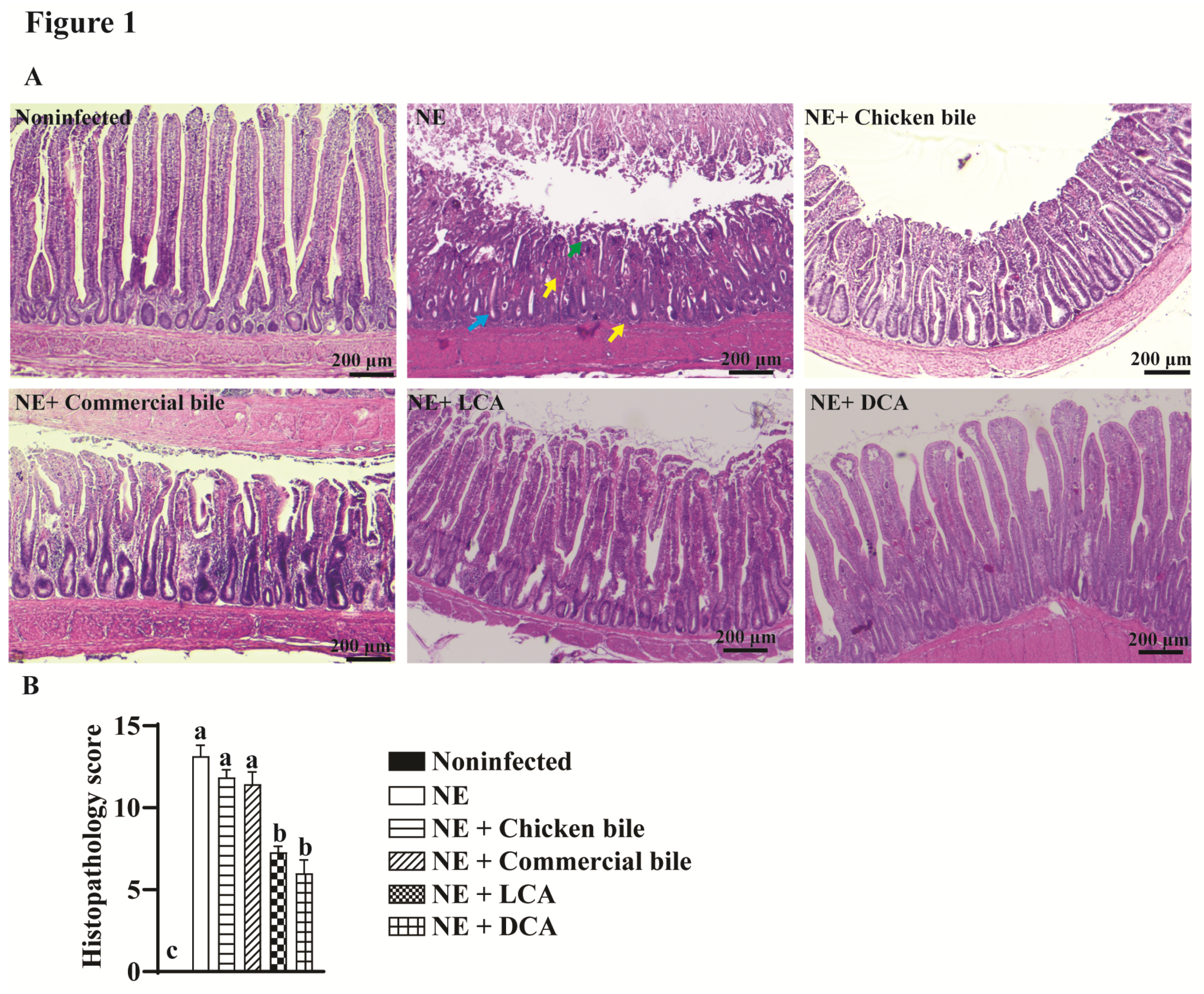 Pathogens 10 01041 g001