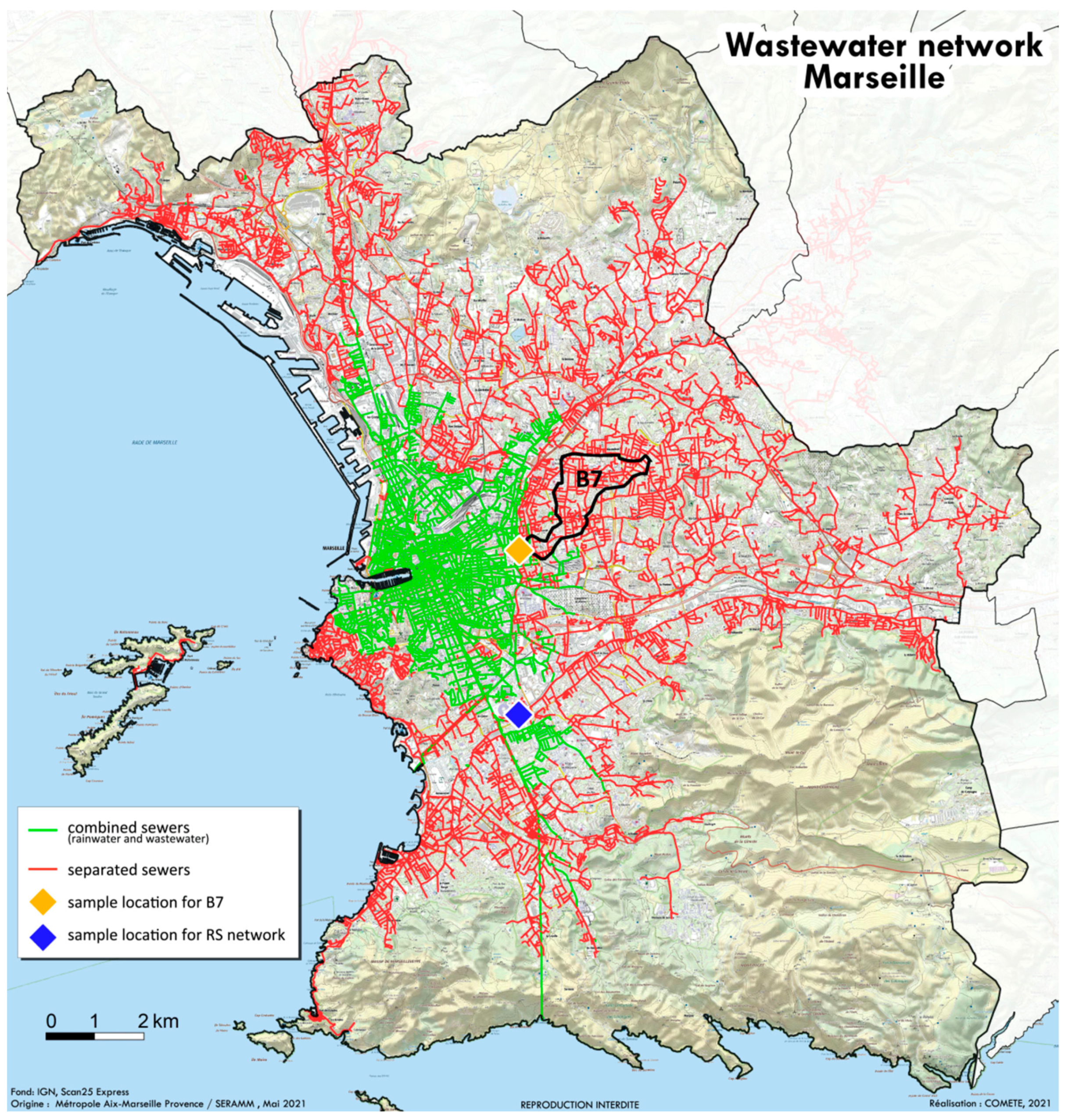Pathogens 10 01042 g002