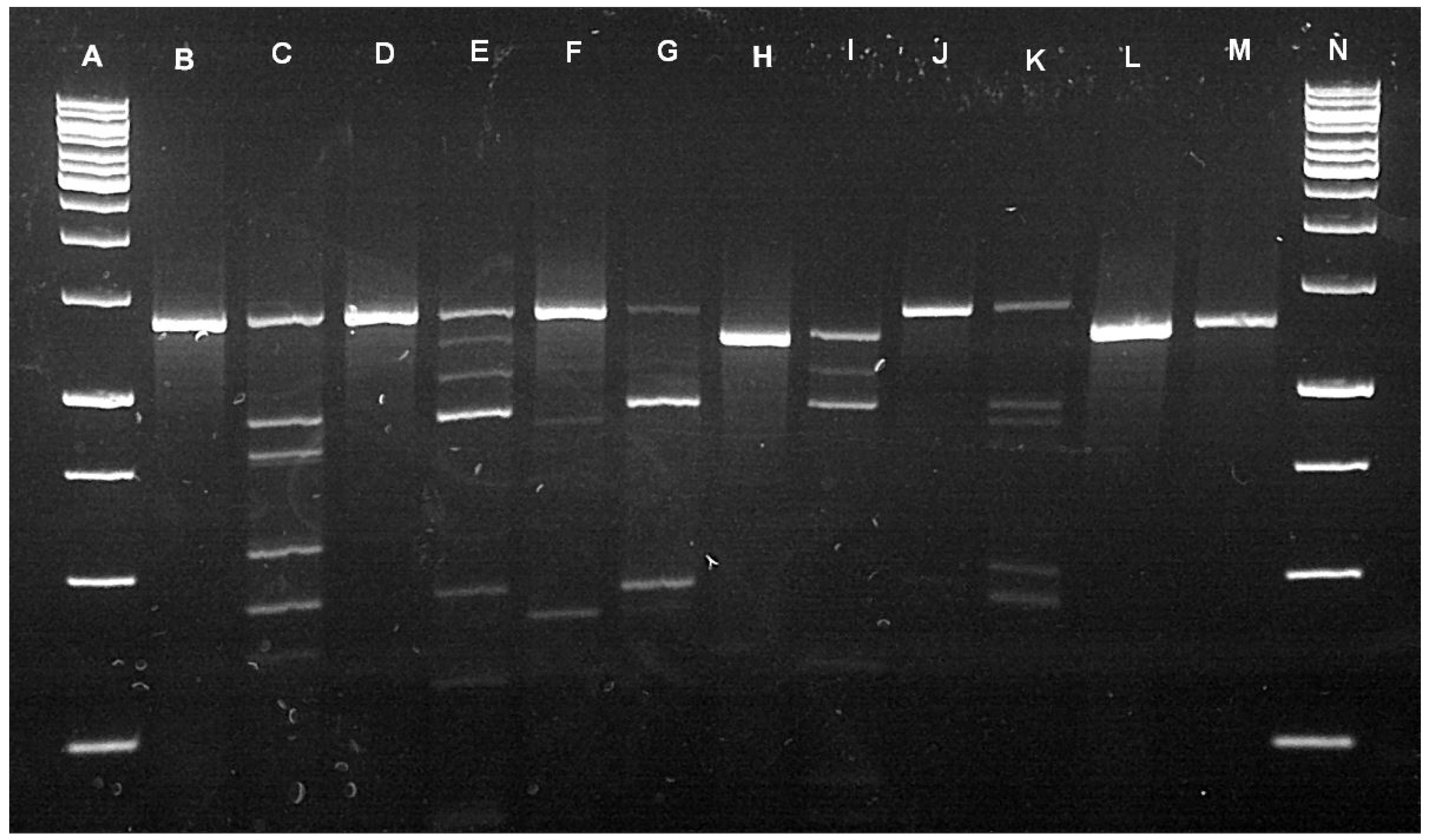 Pathogens 10 01043 g002